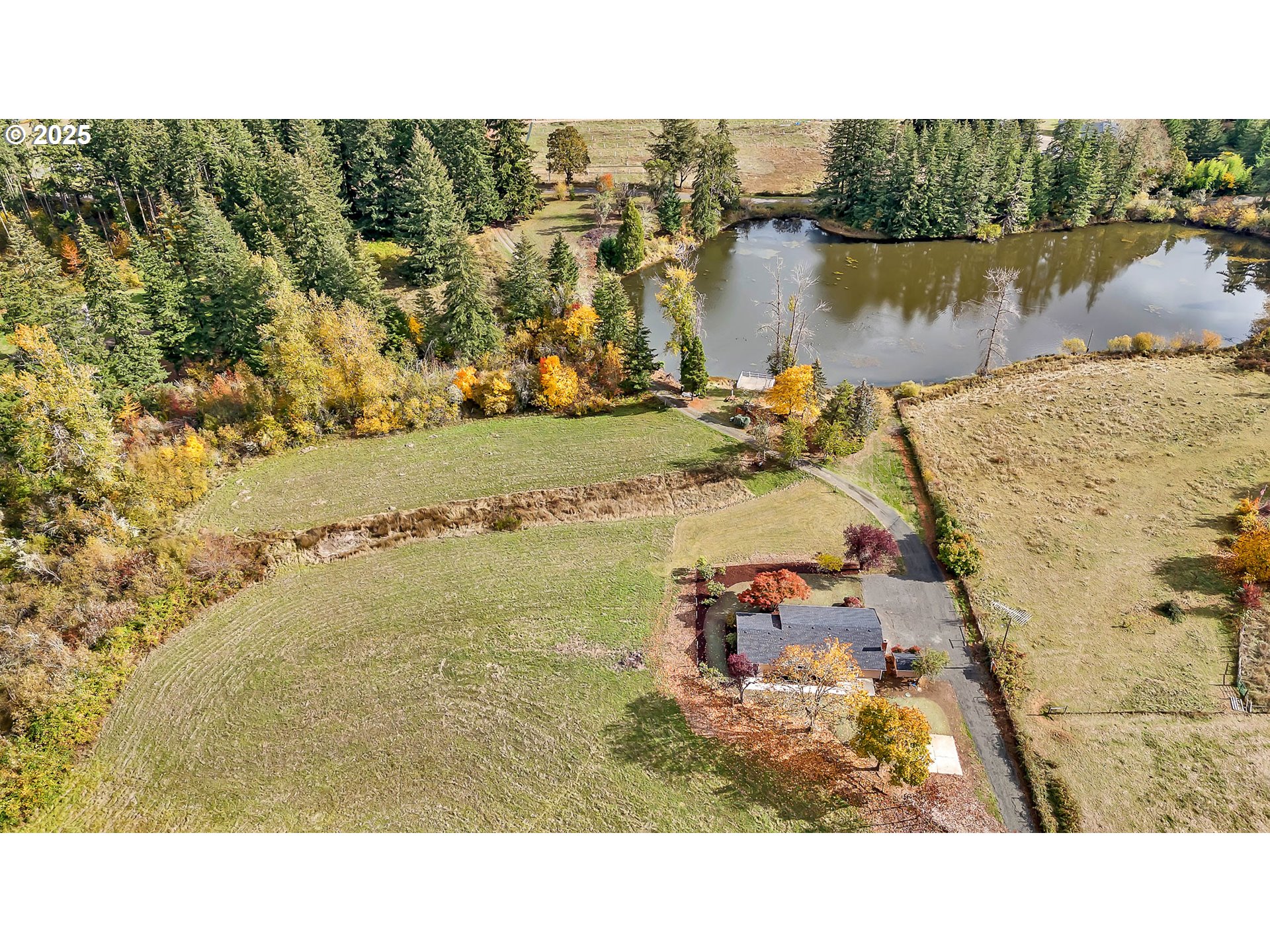 26860 Pickens Road Eugene, OR 97402 - Photo 6 of 48 Gallery Image 6