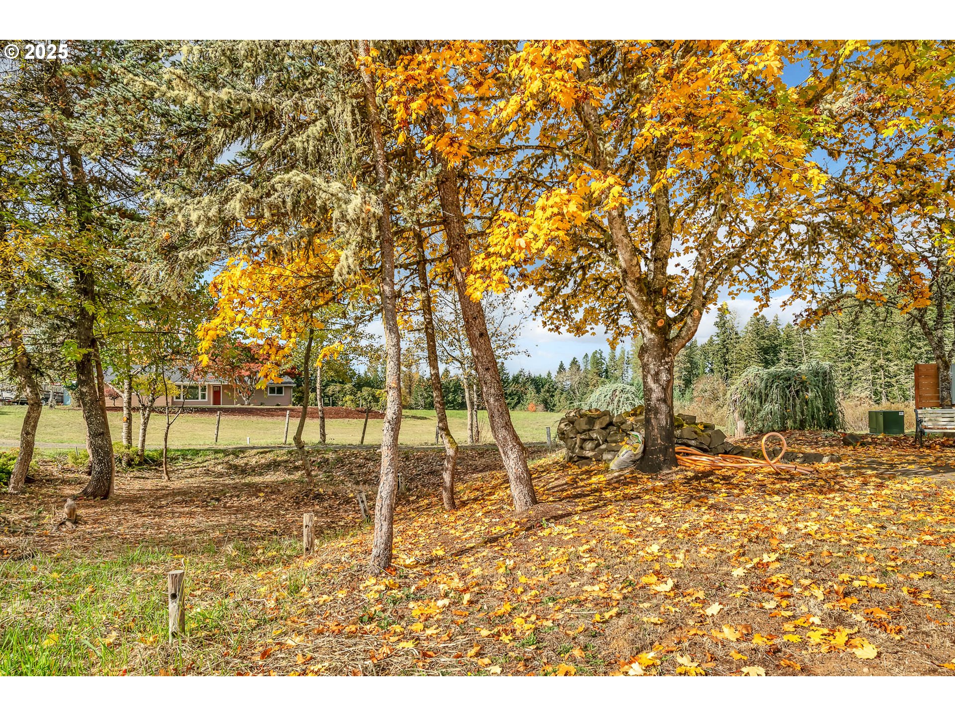 26860 Pickens Road Eugene, OR 97402 - Photo 8 of 48 Gallery Image 8