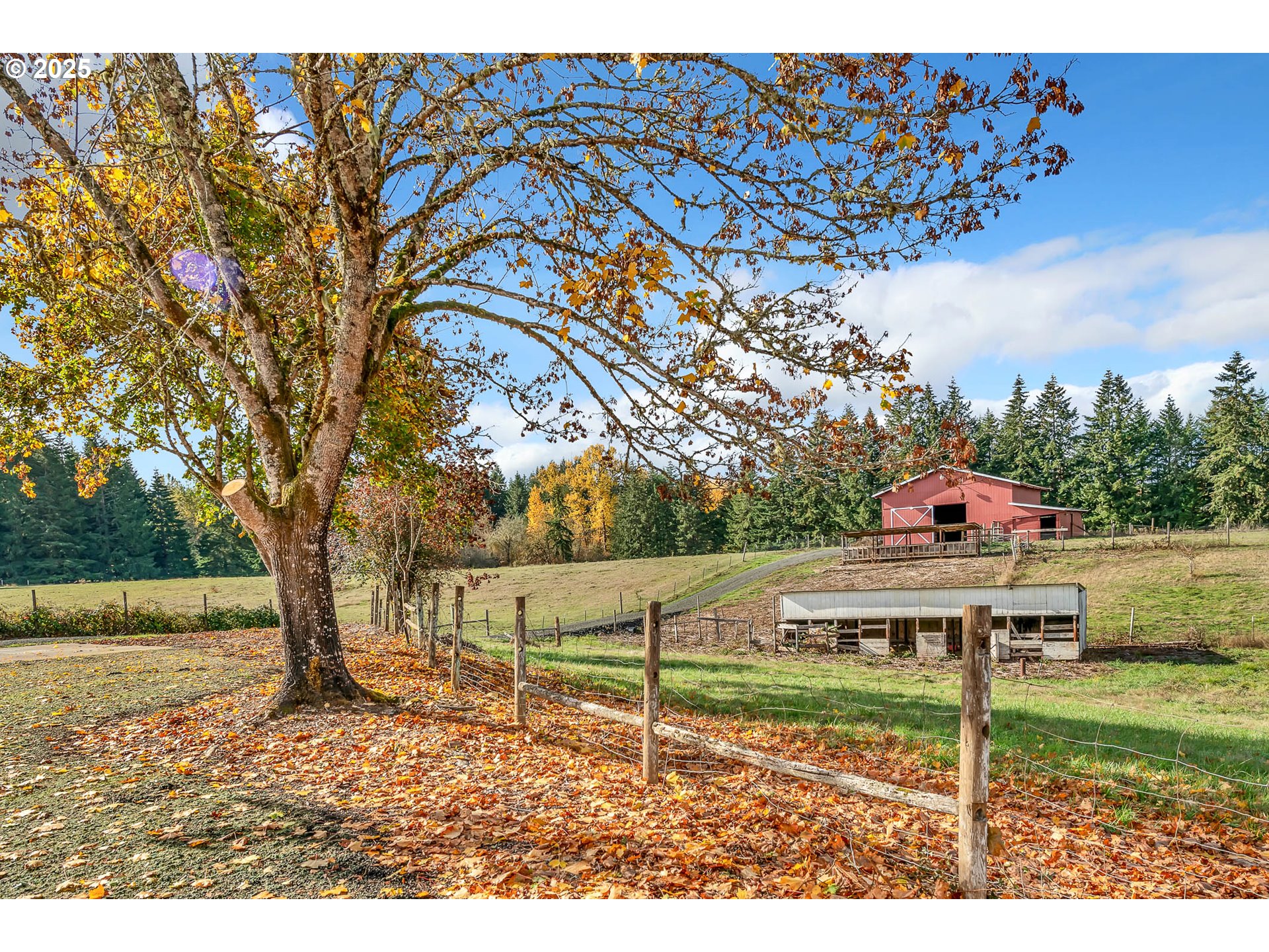 26860 Pickens Road Eugene, OR 97402 - Photo 9 of 48 Gallery Image 9