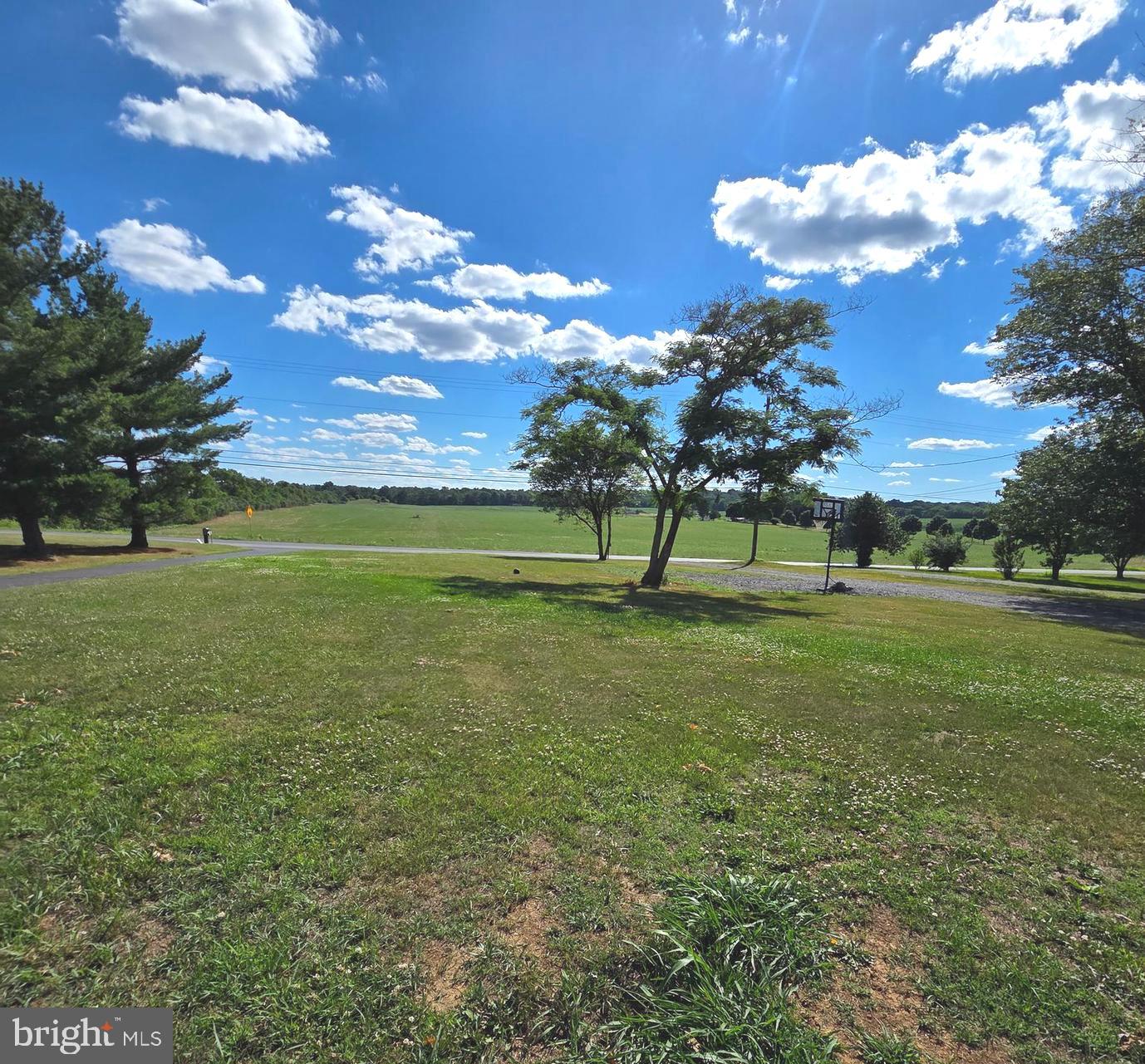 178 Payne Road Winchester, VA 22603 - Photo 89 of 101 front yard view