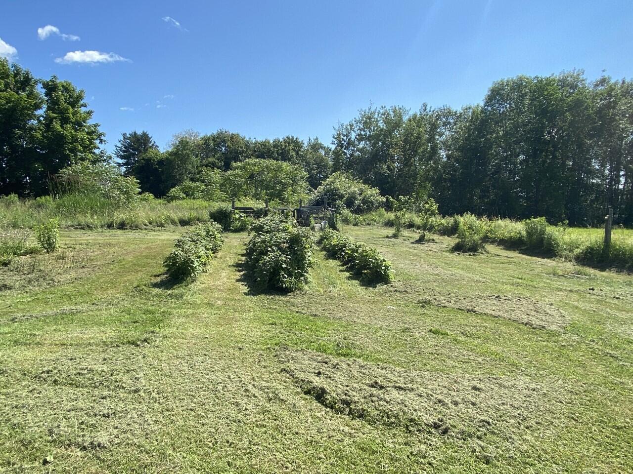 469 Albion Road Unity, ME 04988 - Photo 21 of 56 Gardens