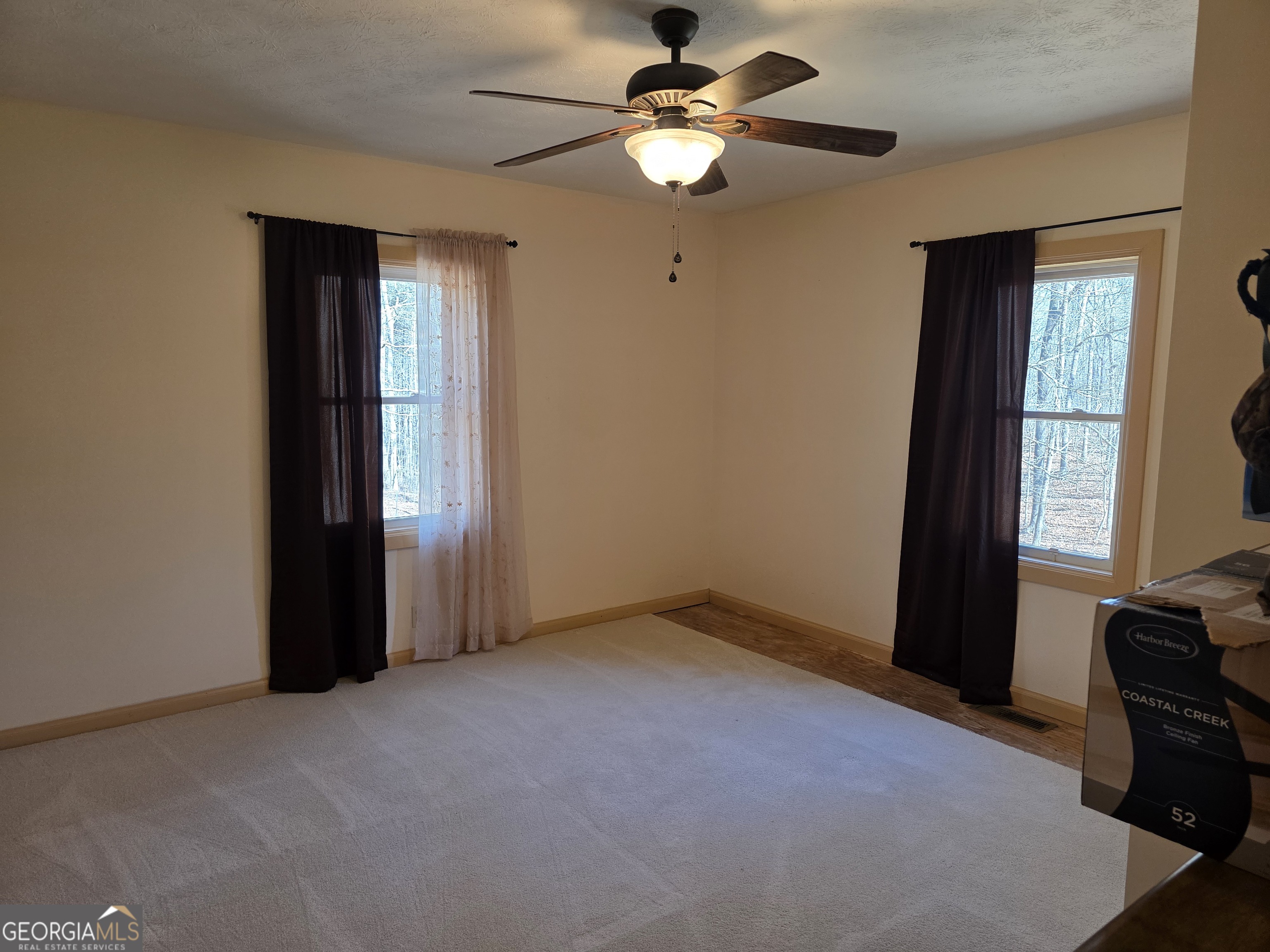 3879 Caney Head Road Roopville, GA 30217 - Photo 29 of 64 an empty room with windows and fan