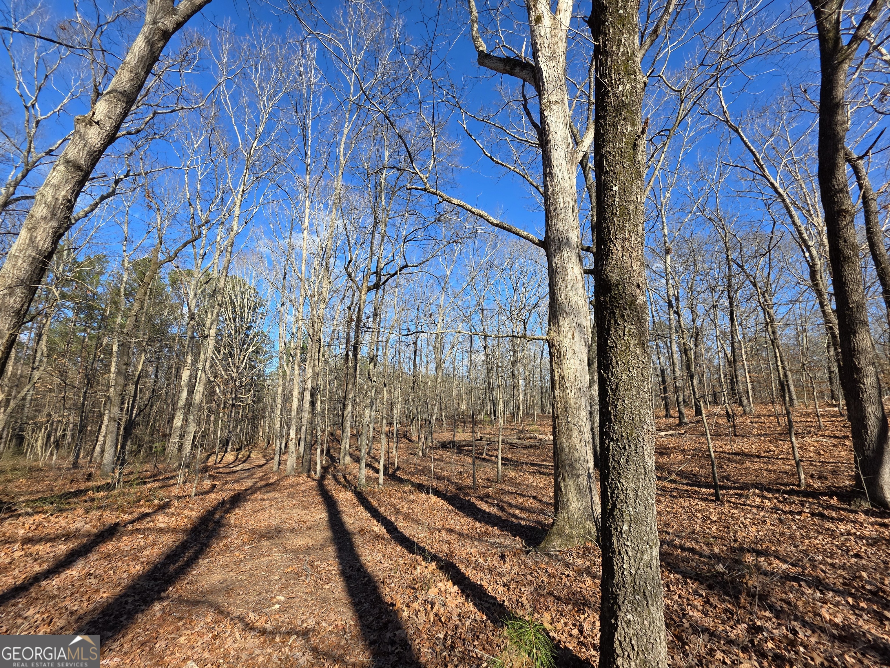 3879 Caney Head Road Roopville, GA 30217 - Photo 34 of 64 a view of a pathway of a house