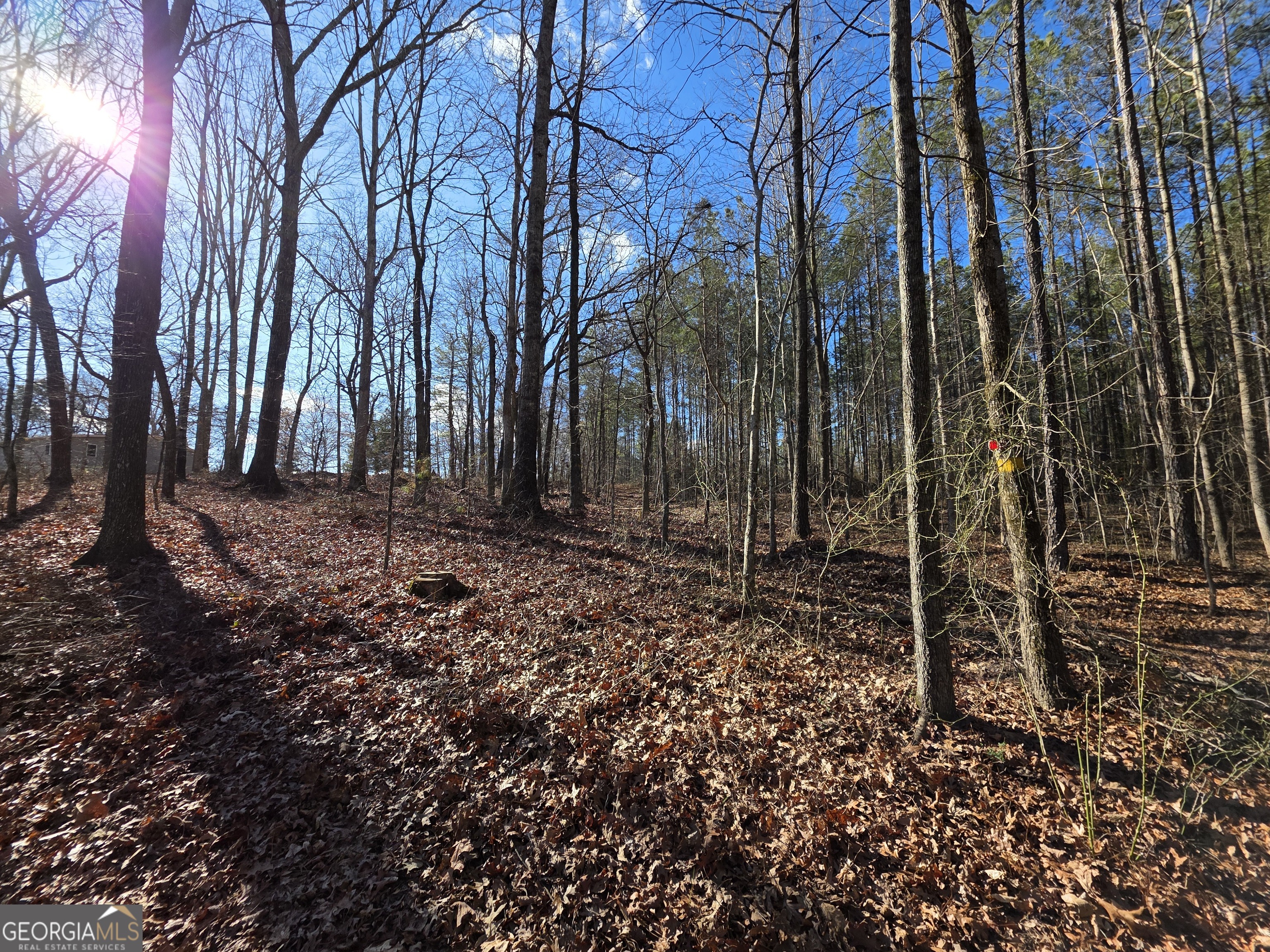 3879 Caney Head Road Roopville, GA 30217 - Photo 35 of 64 a view of backyard with green space