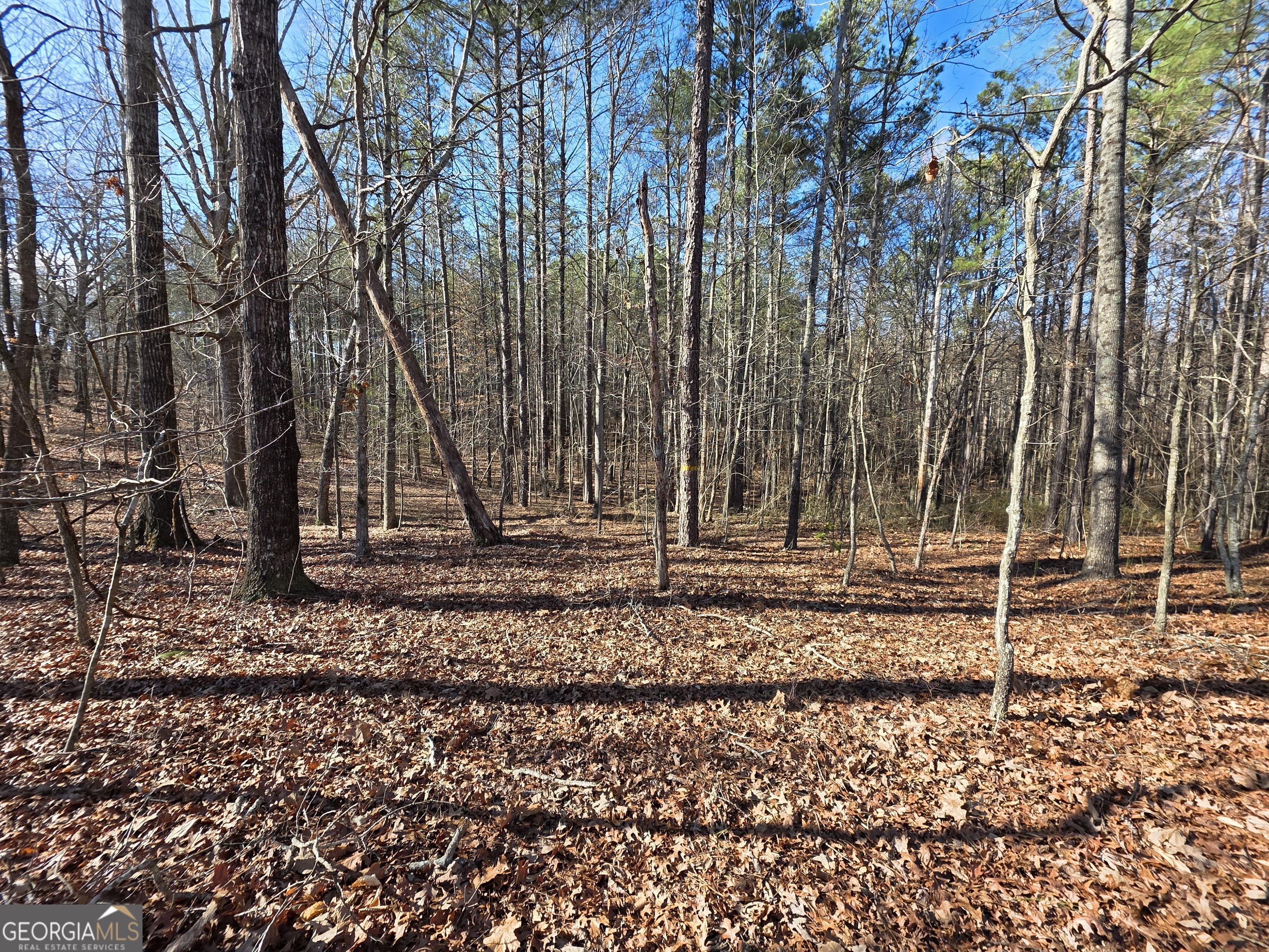 3879 Caney Head Road Roopville, GA 30217 - Photo 37 of 64 a backyard of a house with lots of green space