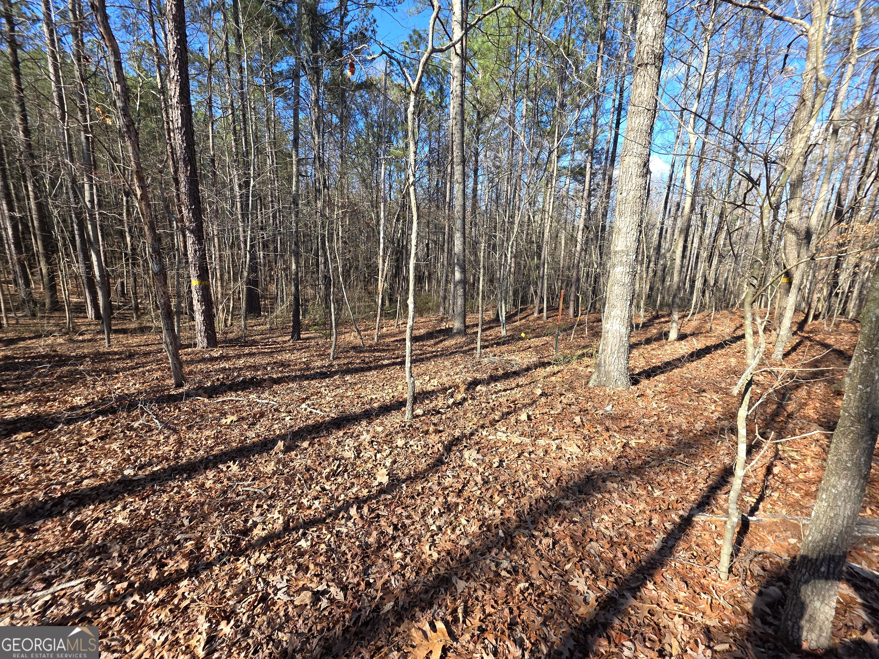 3879 Caney Head Road Roopville, GA 30217 - Photo 38 of 64 a view of a backyard