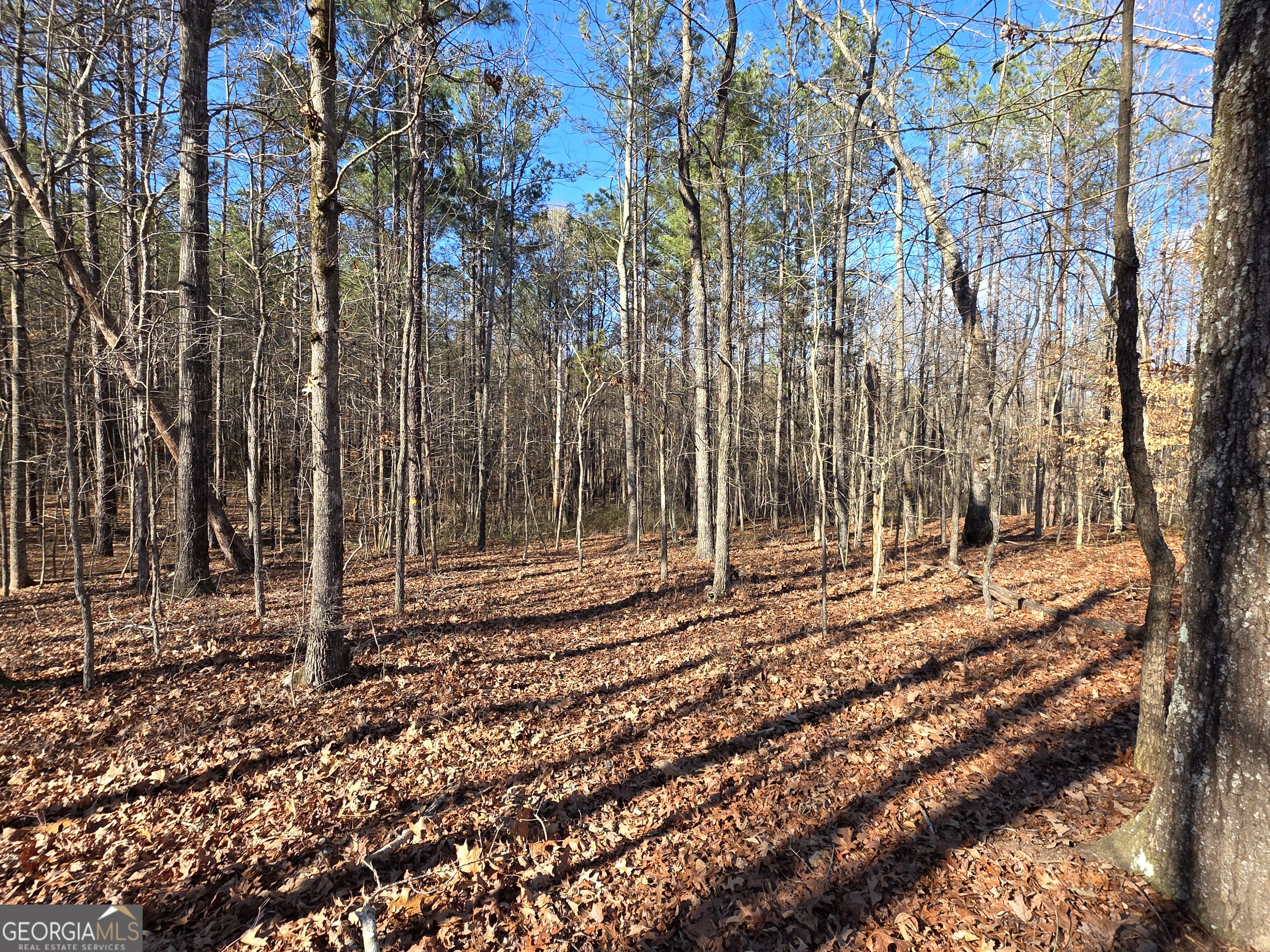 3879 Caney Head Road Roopville, GA 30217 - Photo 39 of 64