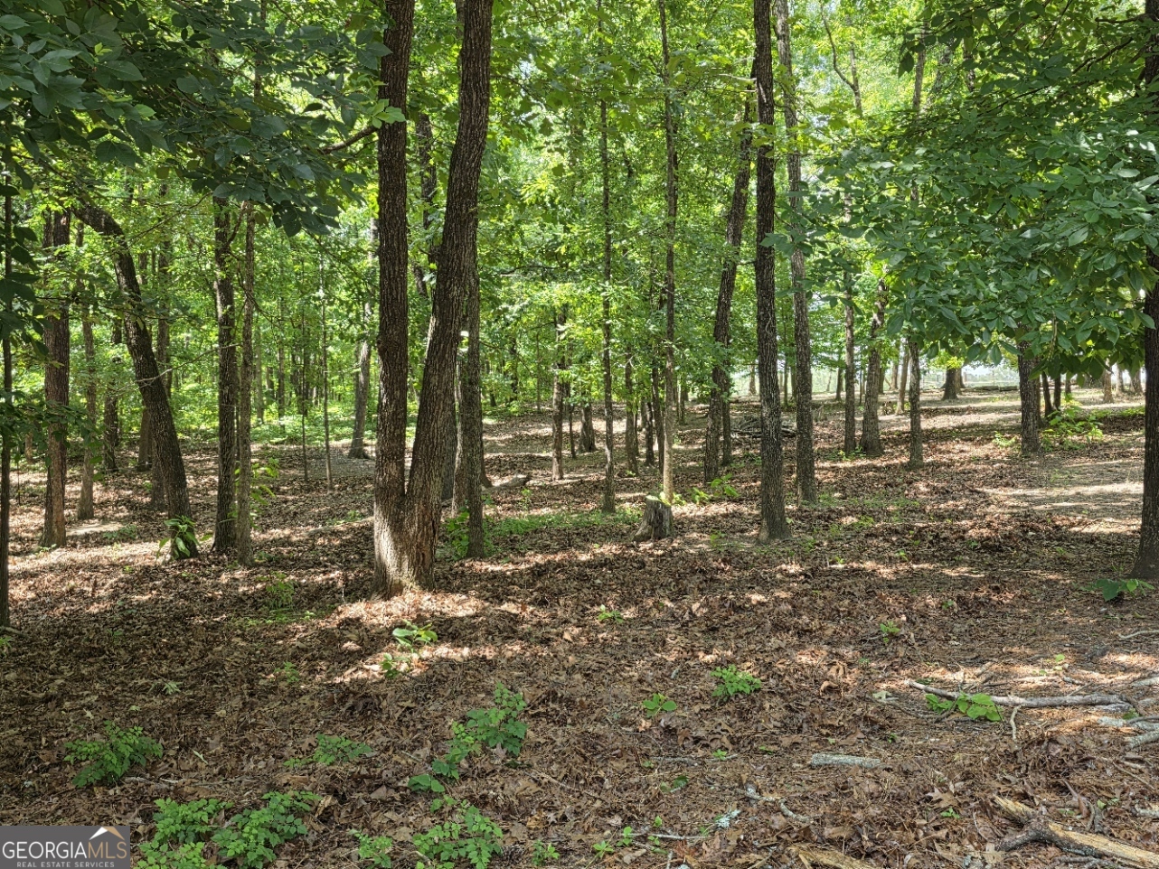 3879 Caney Head Road Roopville, GA 30217 - Photo 39 of 70