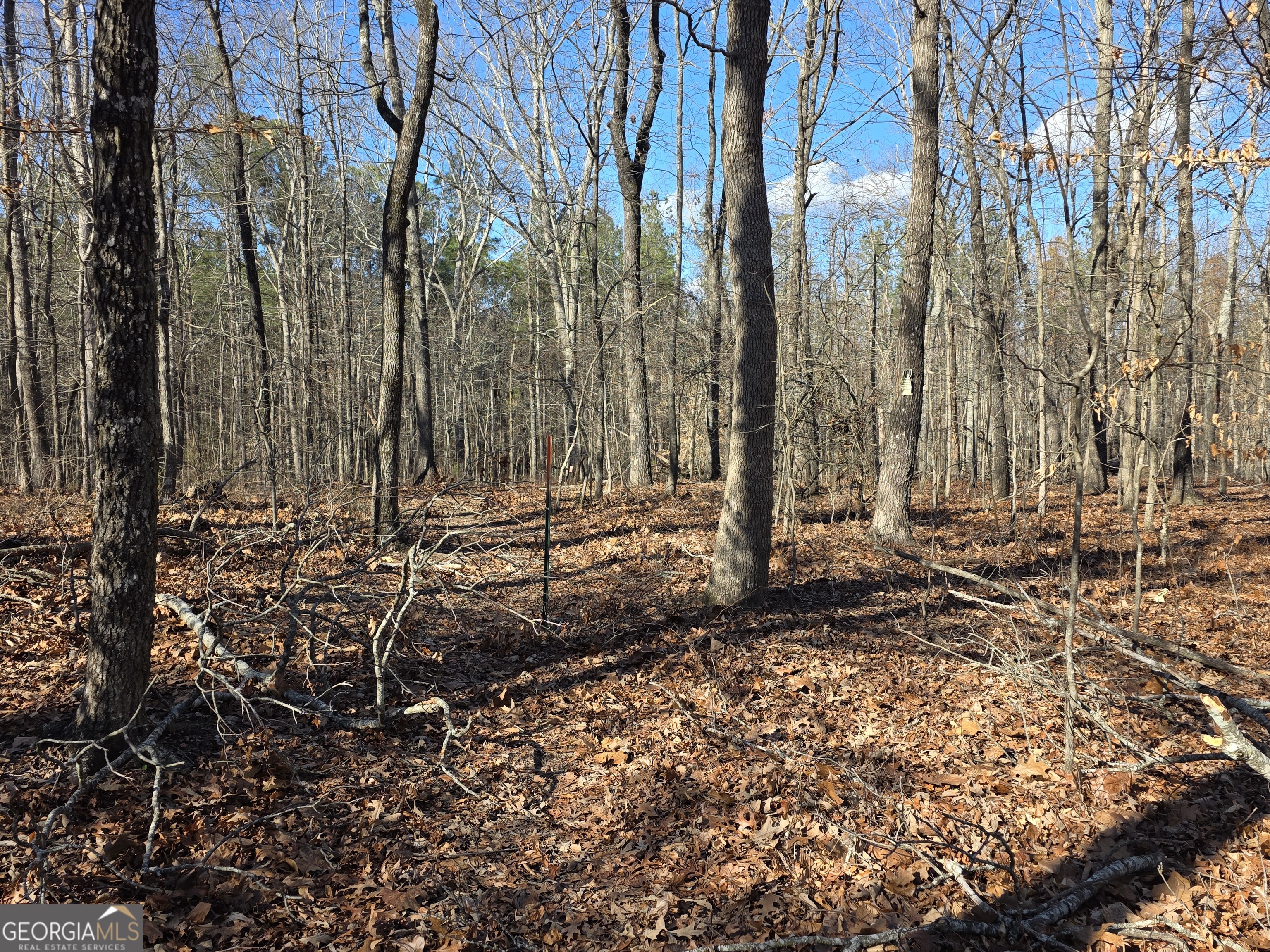 3879 Caney Head Road Roopville, GA 30217 - Photo 40 of 64