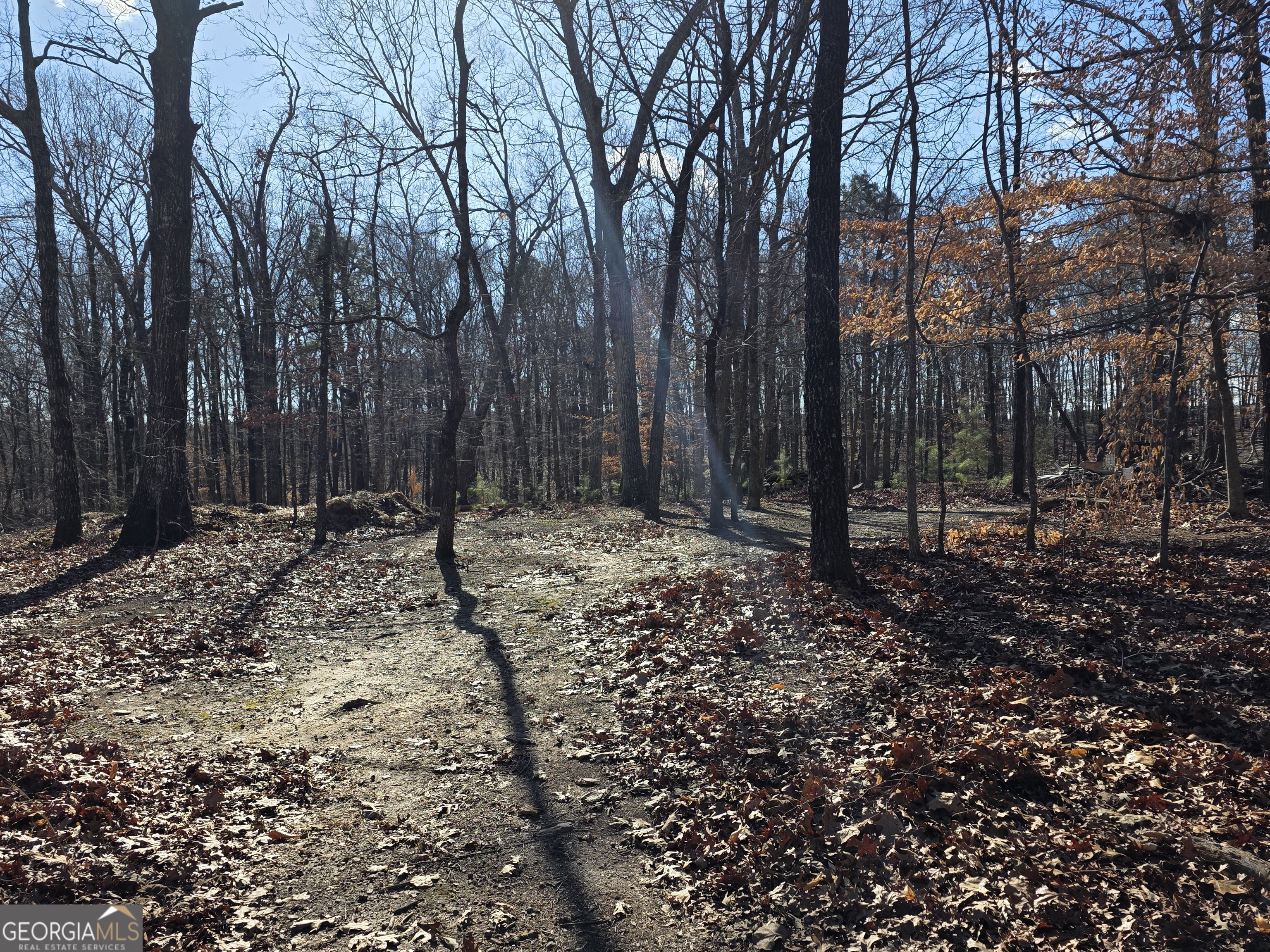 3879 Caney Head Road Roopville, GA 30217 - Photo 41 of 64 a view of outdoor space with trees