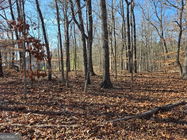 $425,000 | 3879 Caney Head Road, Roopville, GA 30217