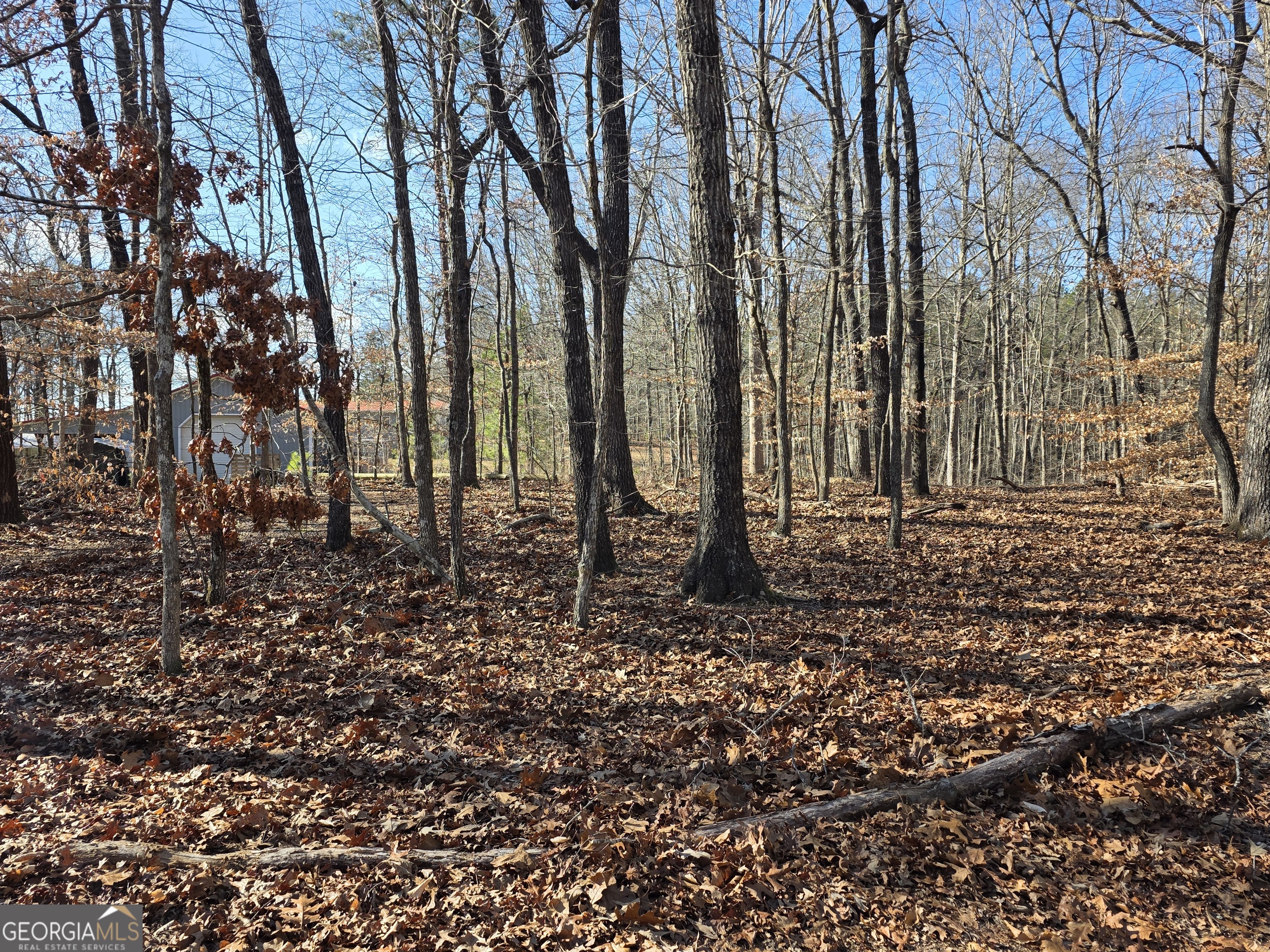 3879 Caney Head Road Roopville, GA 30217 - Photo 42 of 64 a backyard of a house with lots of green space