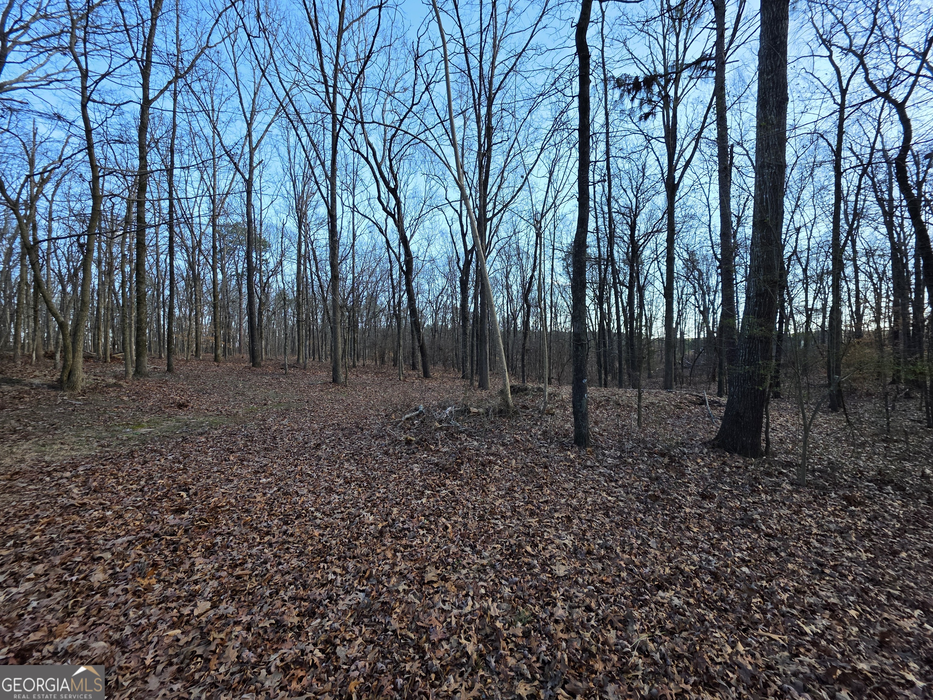 3879 Caney Head Road Roopville, GA 30217 - Photo 46 of 64 a backyard of a house with lots of green space