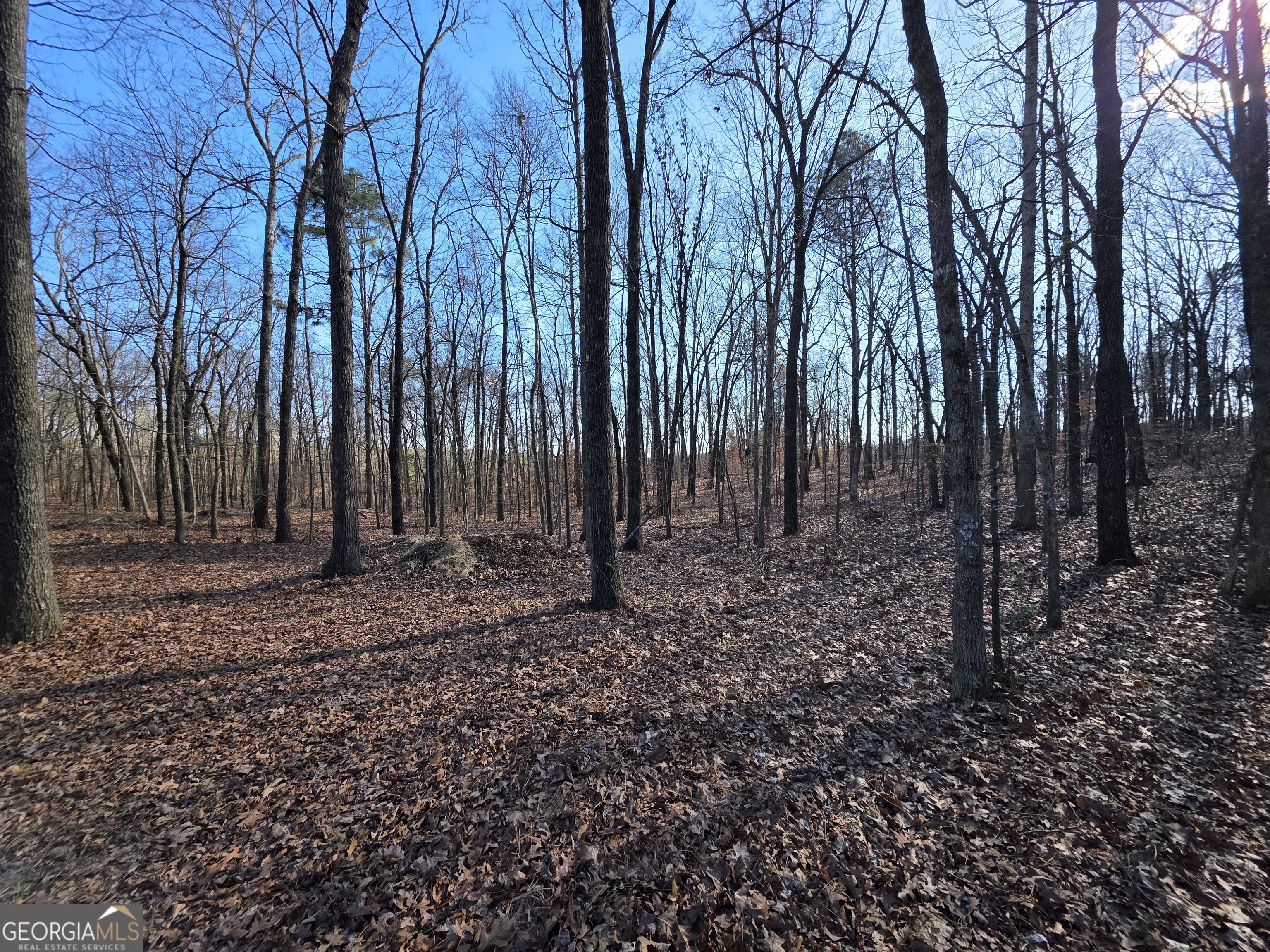 3879 Caney Head Road Roopville, GA 30217 - Photo 47 of 64 a backyard of a house with lots of green space