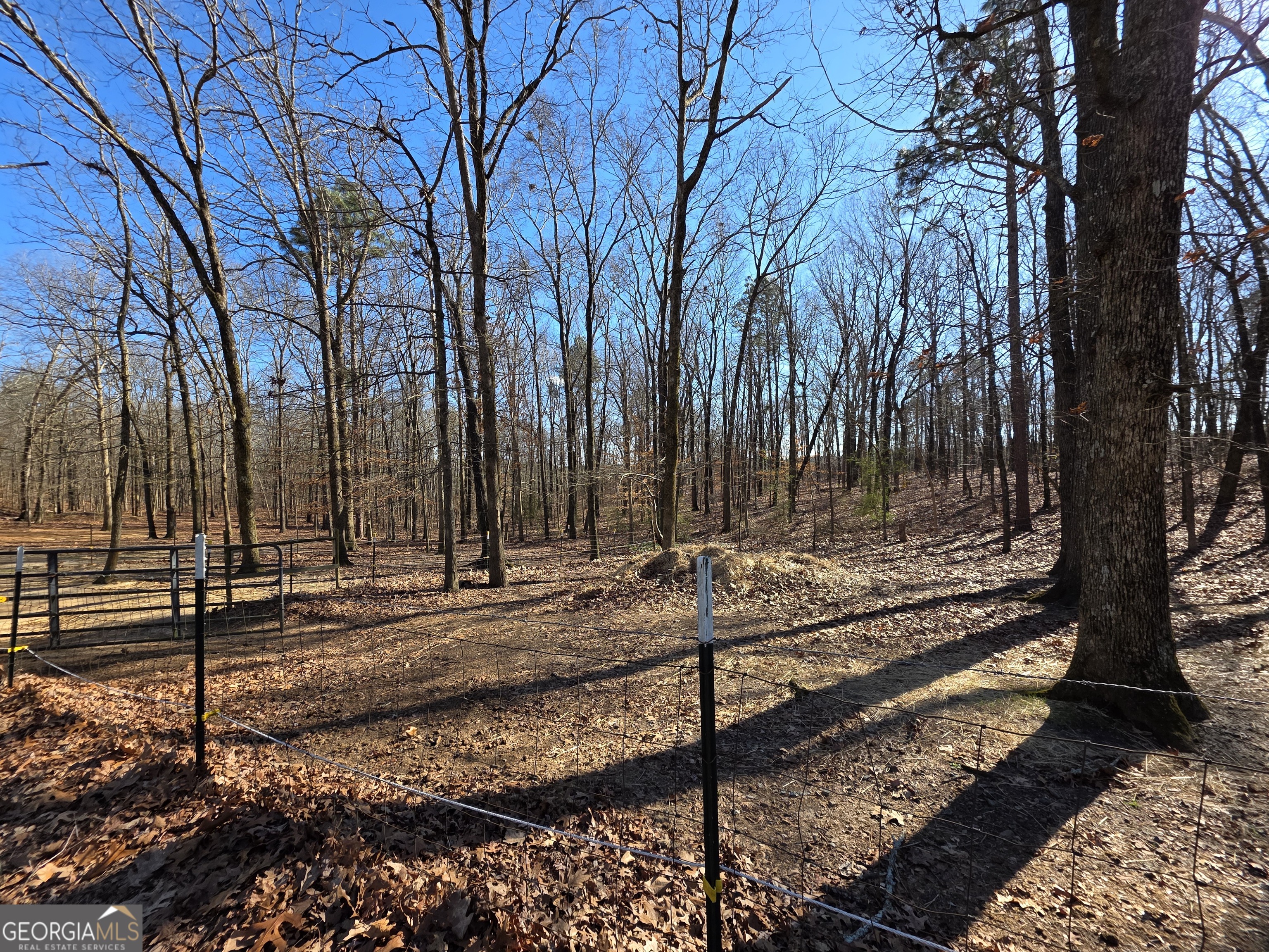 3879 Caney Head Road Roopville, GA 30217 - Photo 49 of 64 a view of a backyard with trees