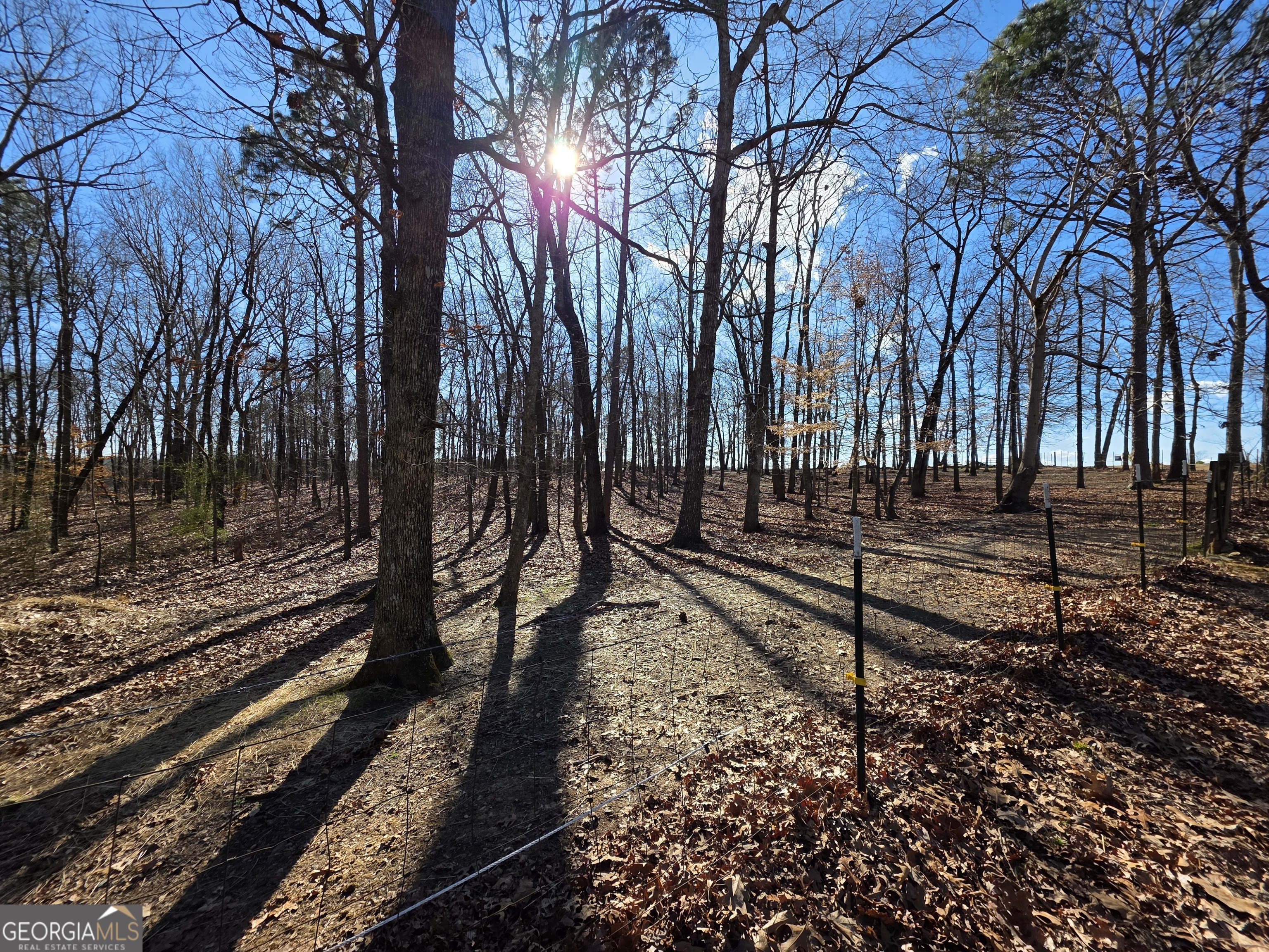 3879 Caney Head Road Roopville, GA 30217 - Photo 50 of 64 a view of a back yard