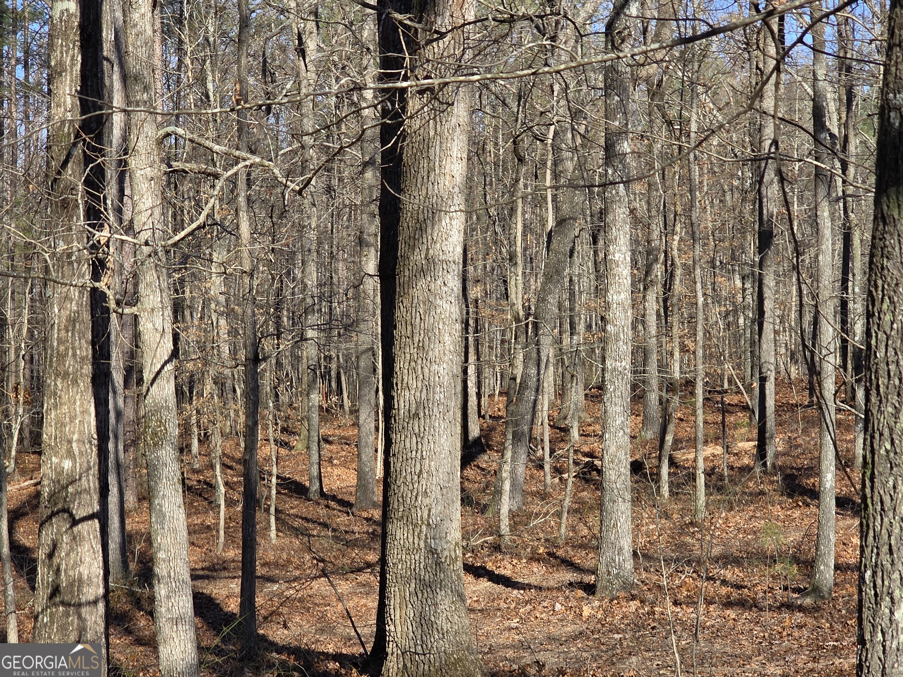 3879 Caney Head Road Roopville, GA 30217 - Photo 51 of 64