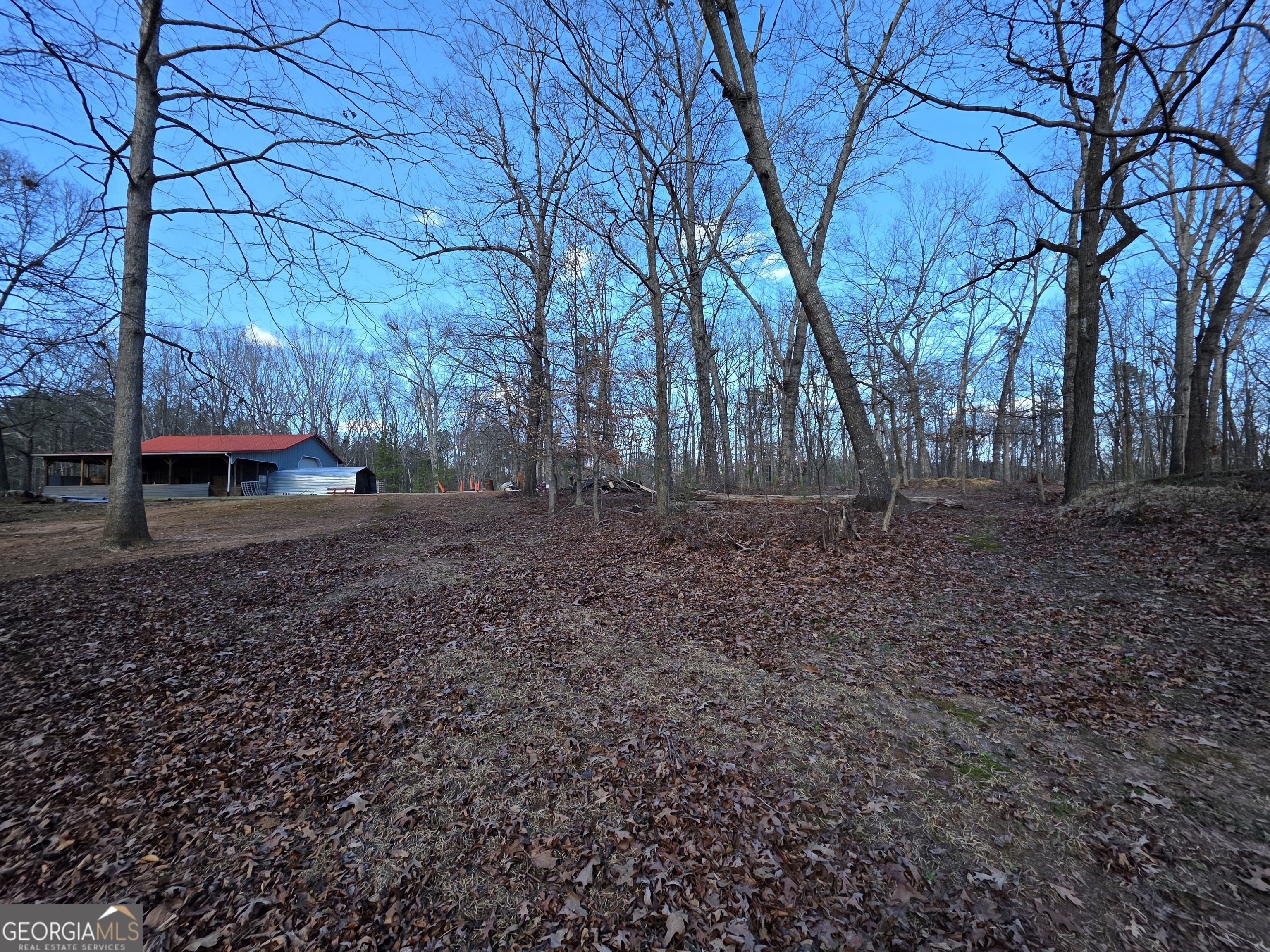 3879 Caney Head Road Roopville, GA 30217 - Photo 51 of 70