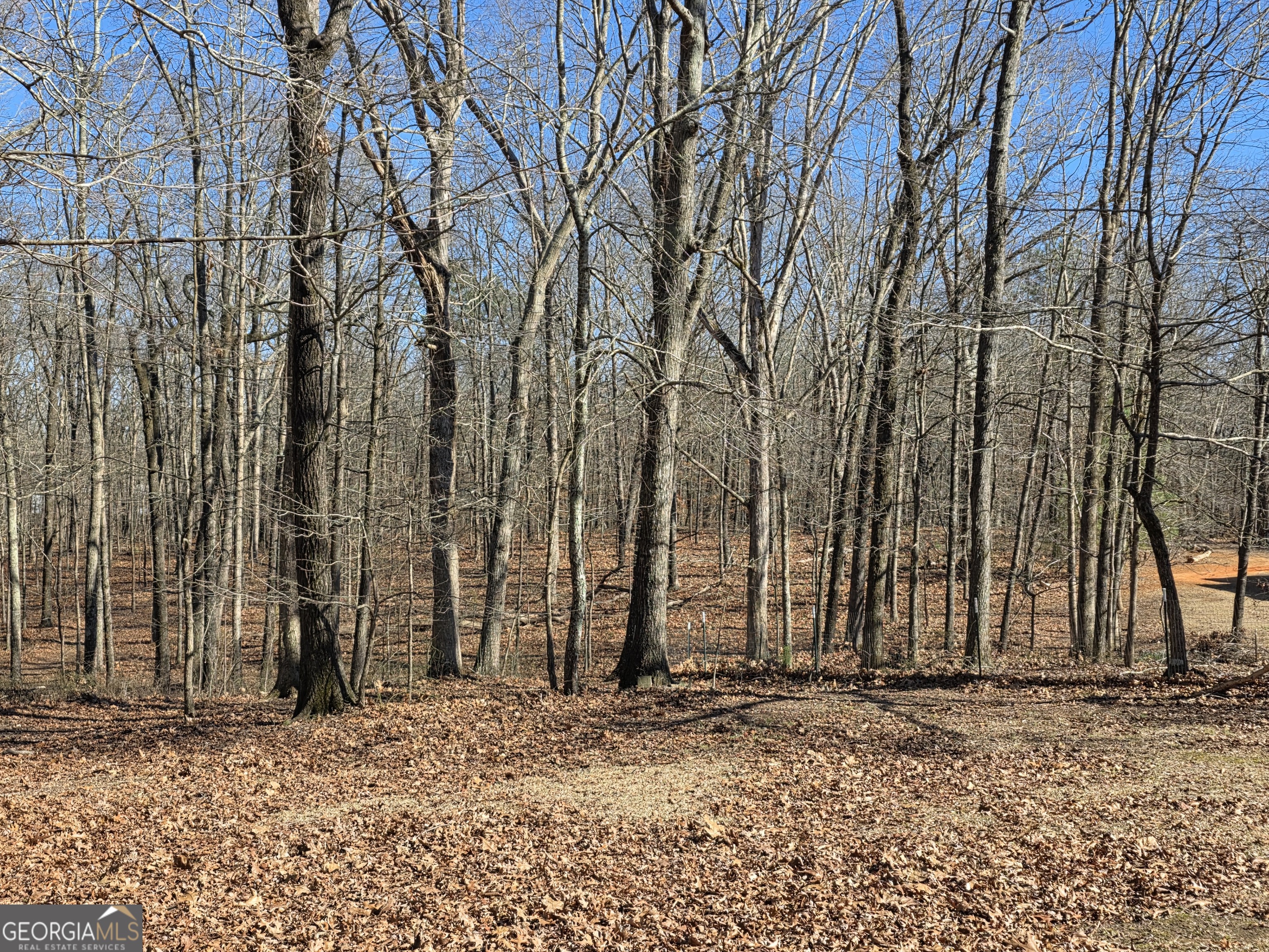 3879 Caney Head Road Roopville, GA 30217 - Photo 53 of 64 a view of a backyard of the house