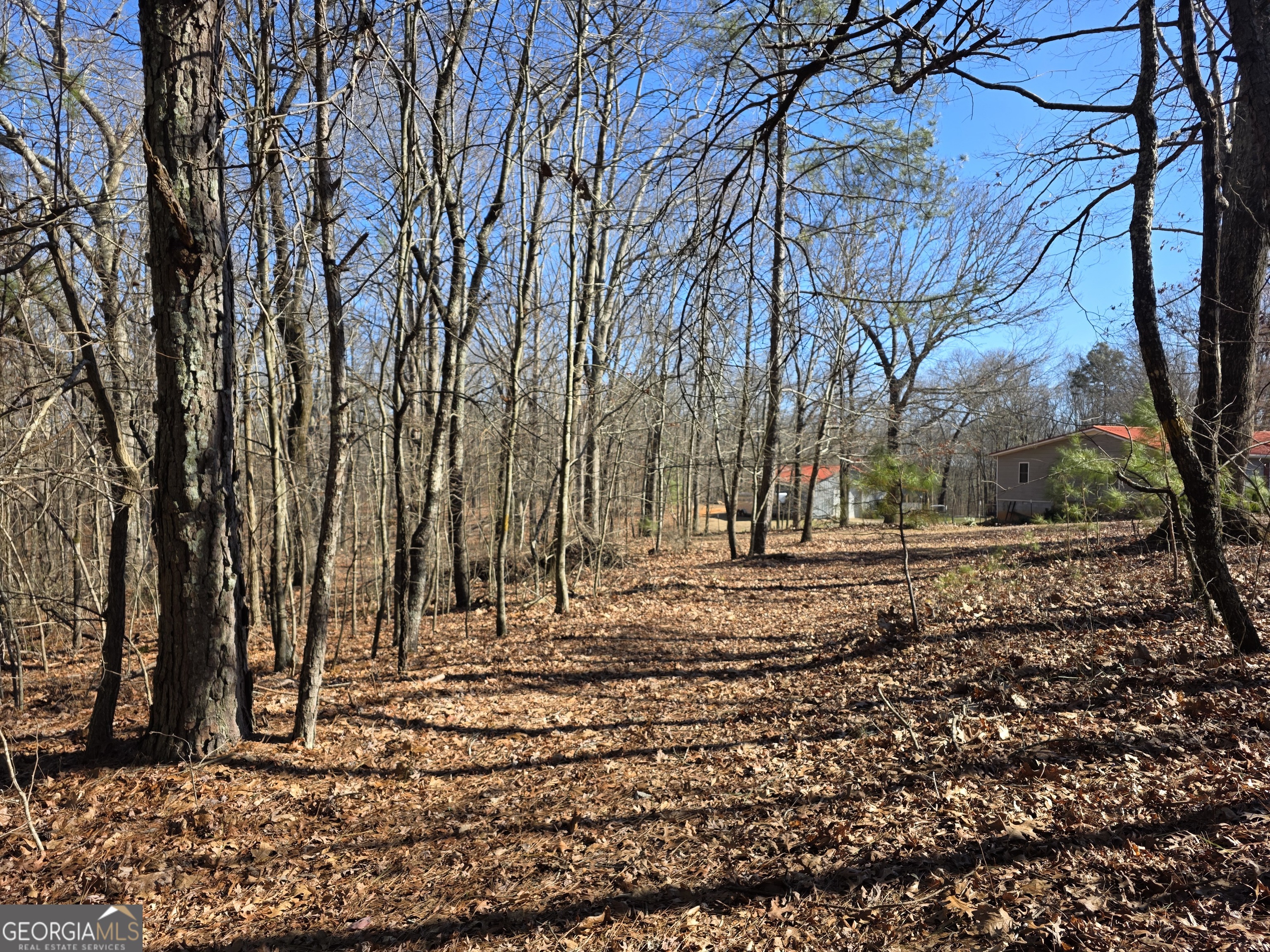 3879 Caney Head Road Roopville, GA 30217 - Photo 55 of 64 a view of dirt yard with a large tree