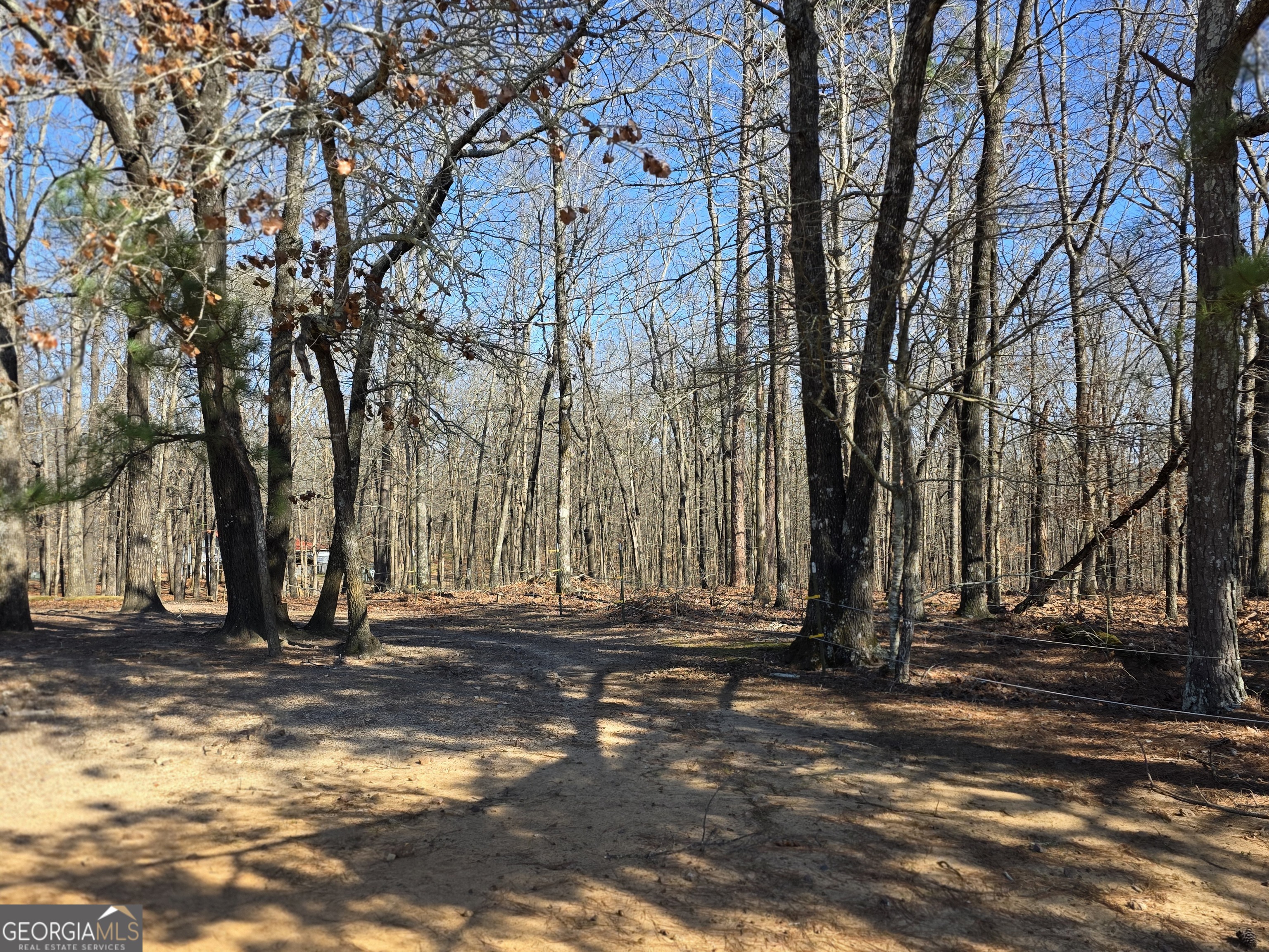 3879 Caney Head Road Roopville, GA 30217 - Photo 57 of 64 a view of a fire pit with large trees