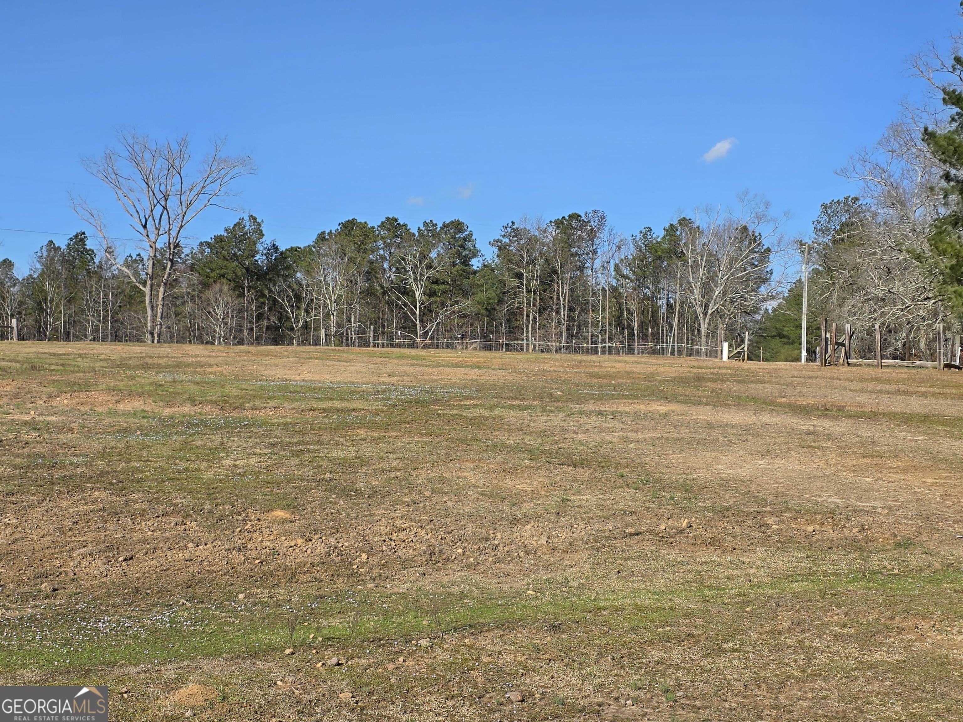 3879 Caney Head Road Roopville, GA 30217 - Photo 59 of 64 a view of outdoor space with field and trees in the background