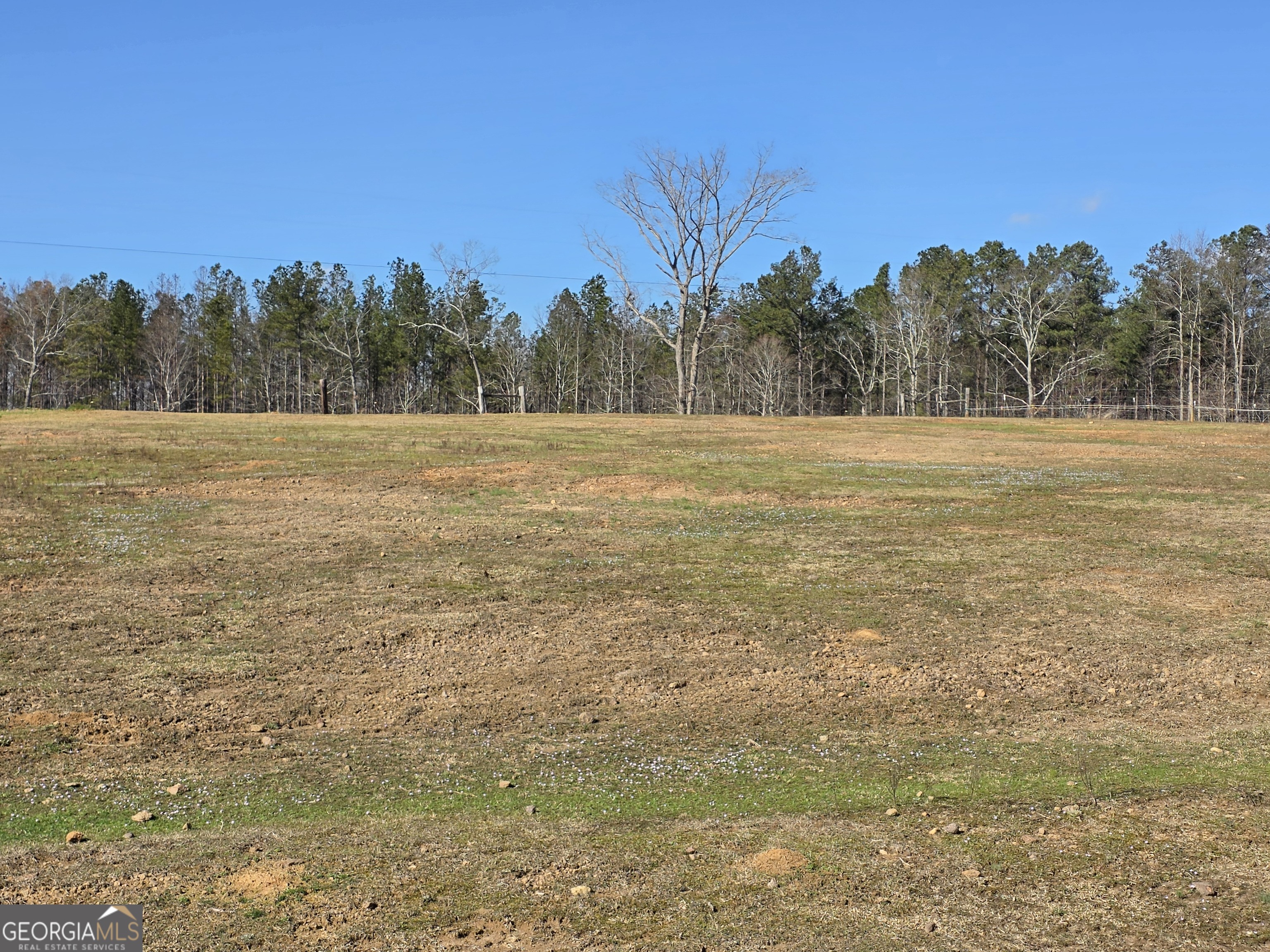 3879 Caney Head Road Roopville, GA 30217 - Photo 60 of 64