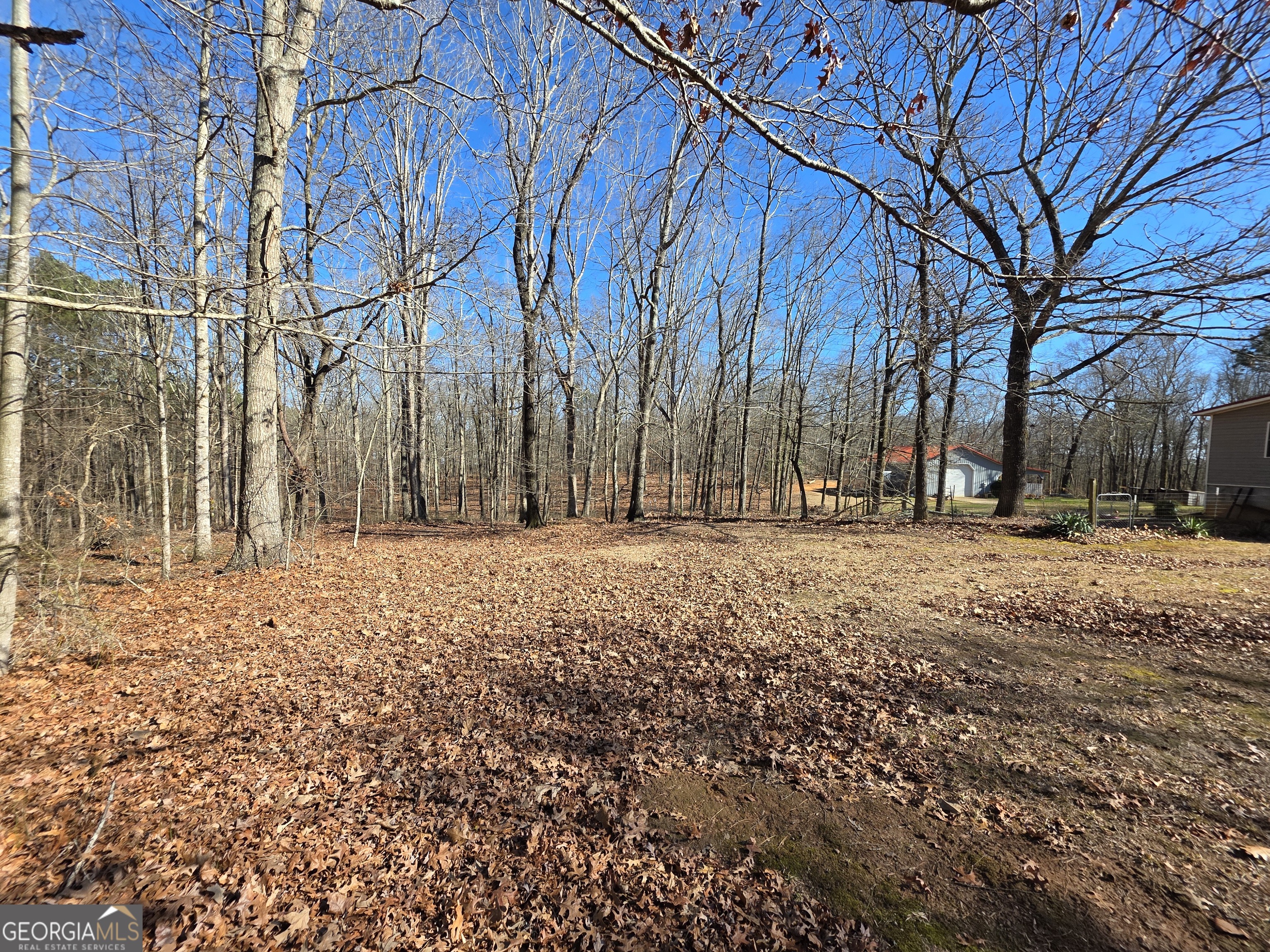 3879 Caney Head Road Roopville, GA 30217 - Photo 60 of 70