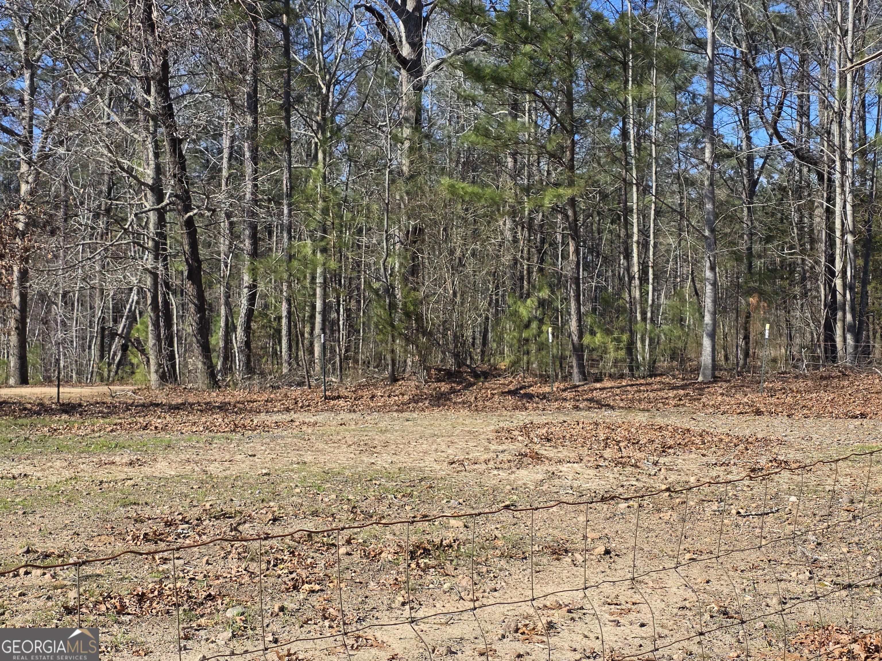 3879 Caney Head Road Roopville, GA 30217 - Photo 69 of 70