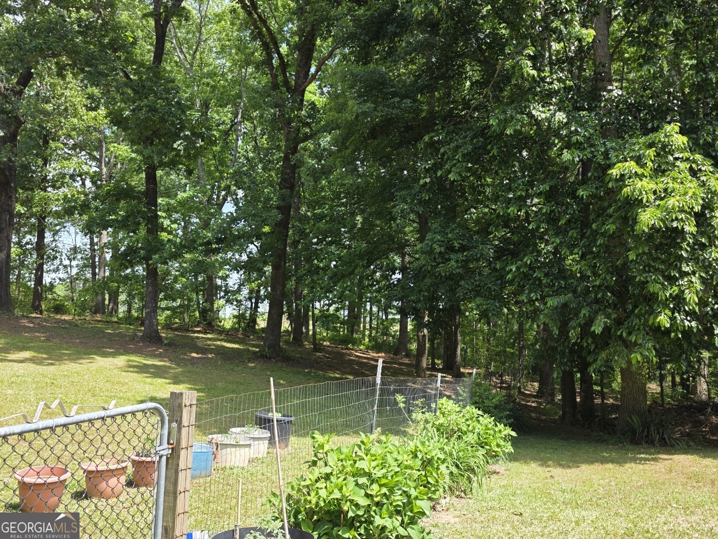 3879 Caney Head Road Roopville, GA 30217 - Photo 10 of 70