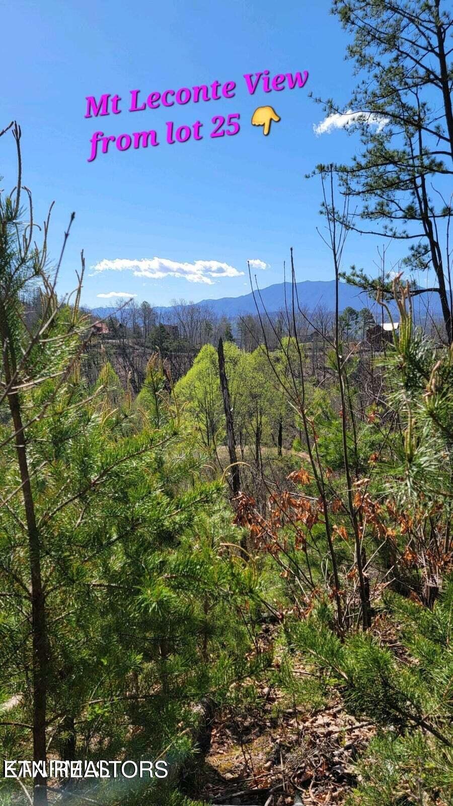 Walker Trail Mt Leconte View