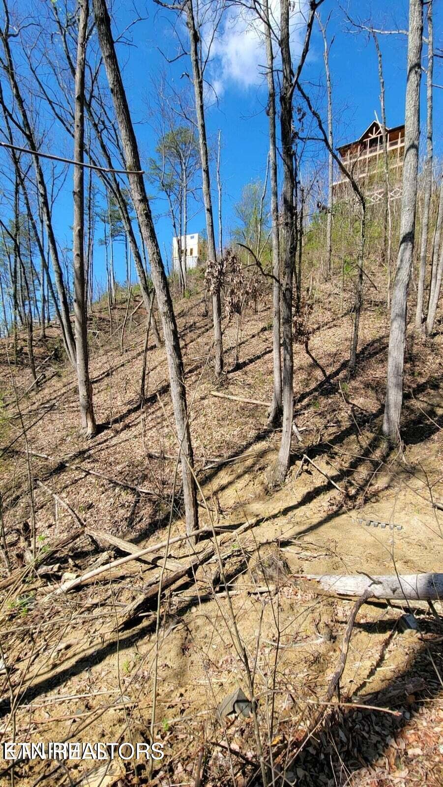 Walker Trail Trail Sevierville, TN 37876 - Photo 3 of 4 Walker Trail LOT 25BE