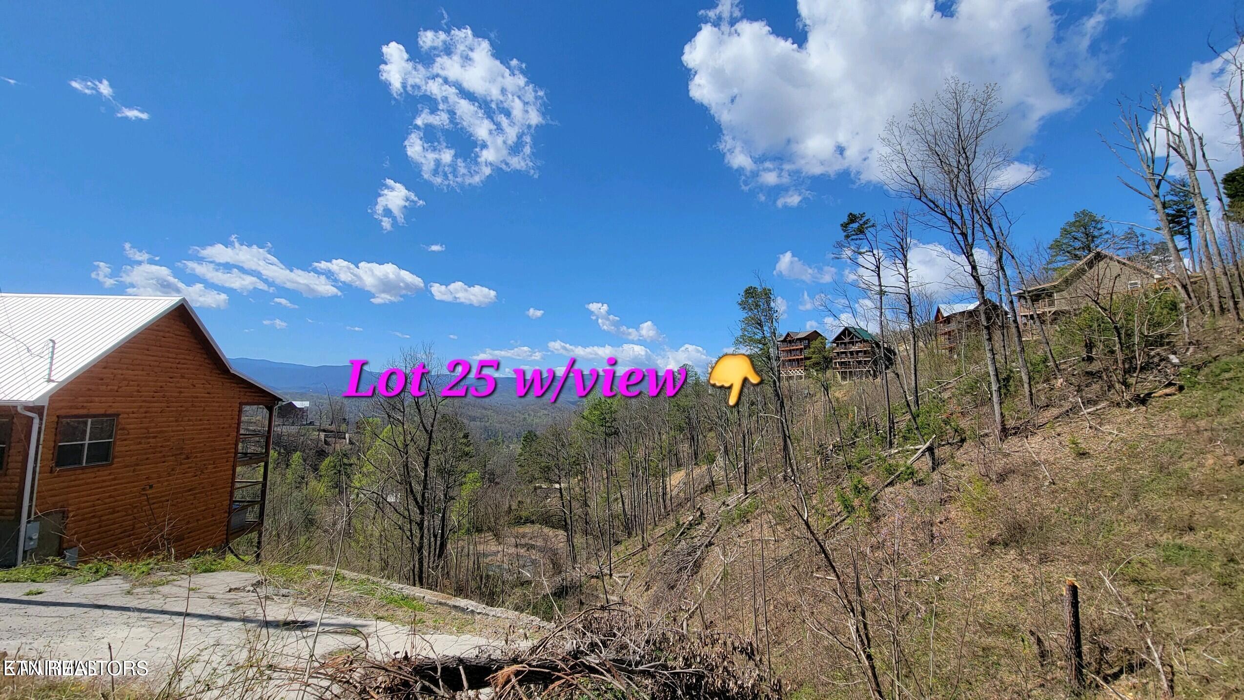 Walker Trail Trail Sevierville, TN 37876 - Photo 4 of 4 Walker Trail Overview