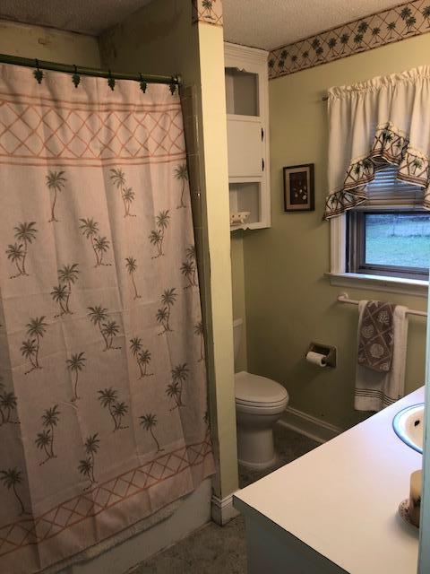 737 Leafwood Road Charleston, SC 29412 - Photo 8 of 22 IMG_0882