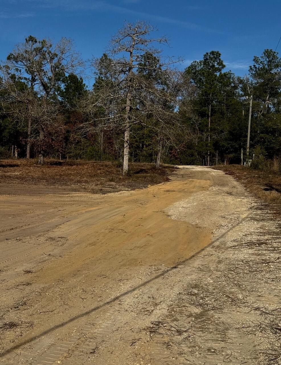 3842 Bear Head Road Crestview, FL 32539 - Photo 3 of 32 pic 4