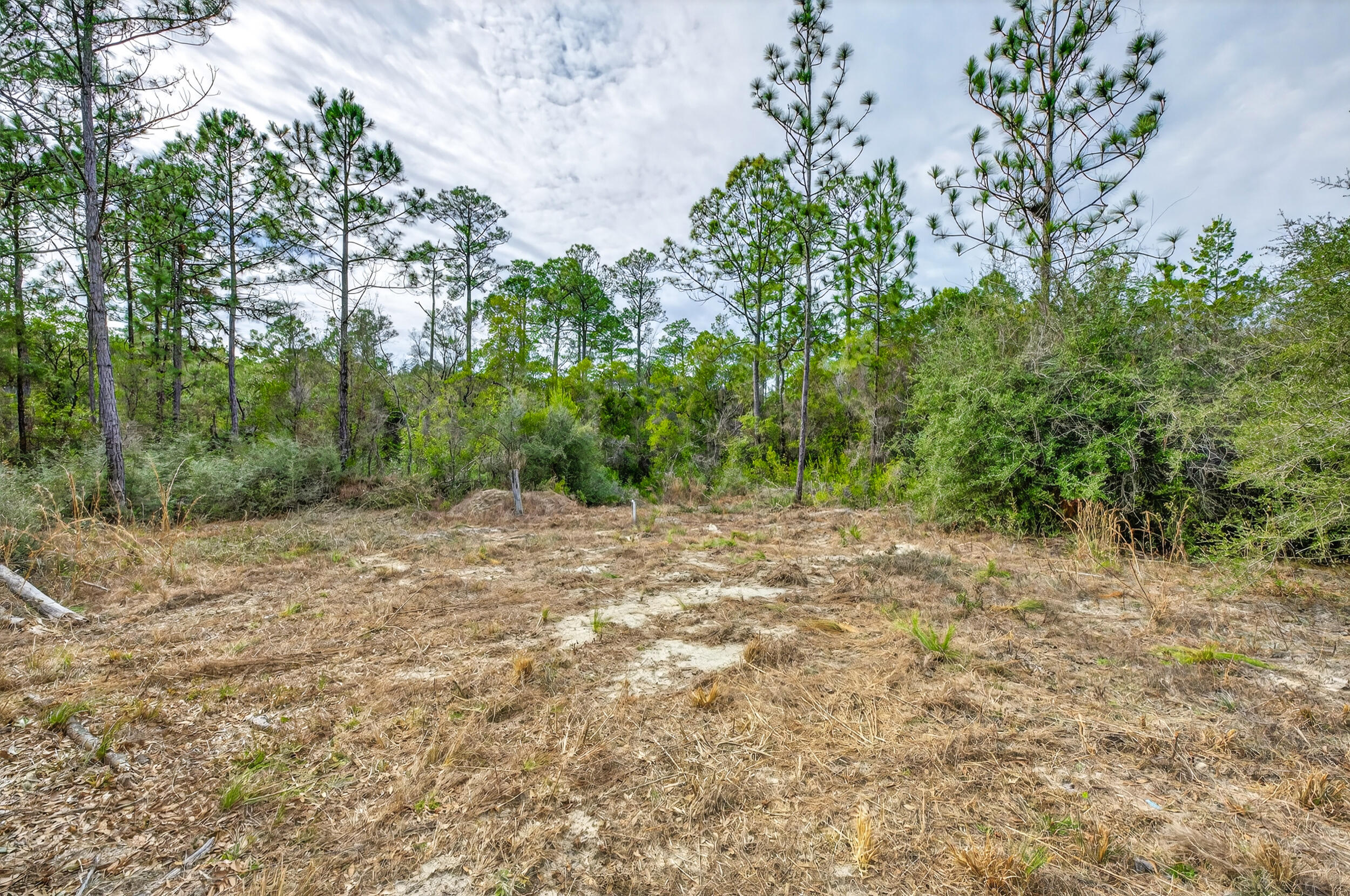 3842 Bear Head Road Crestview, FL 32539 - Photo 32 of 32 3842 bear head rd-crestview-18