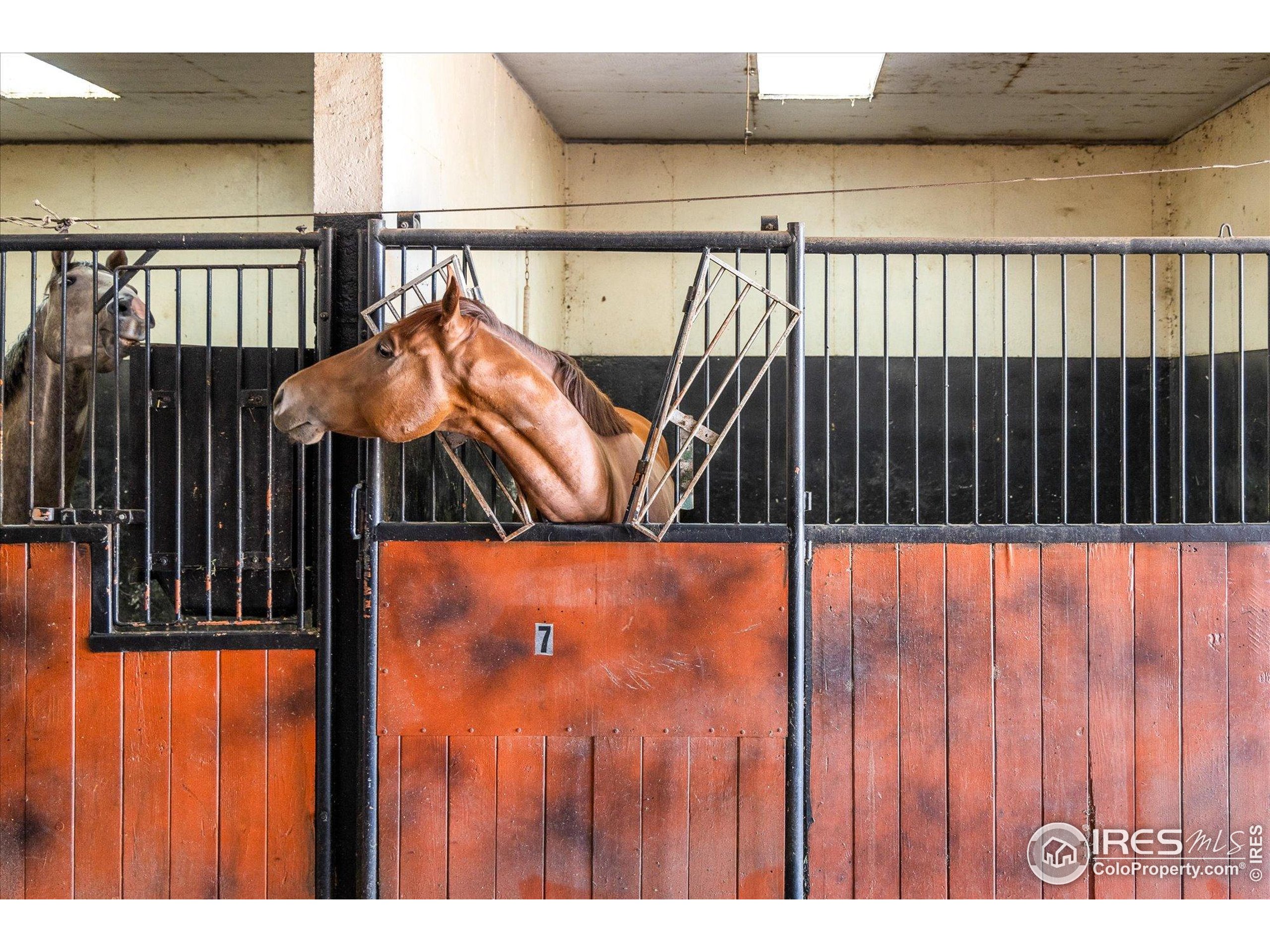 13400 Harvest Road Commerce City, CO 80022 - Photo 18 of 50 a view of outdoor space and deck
