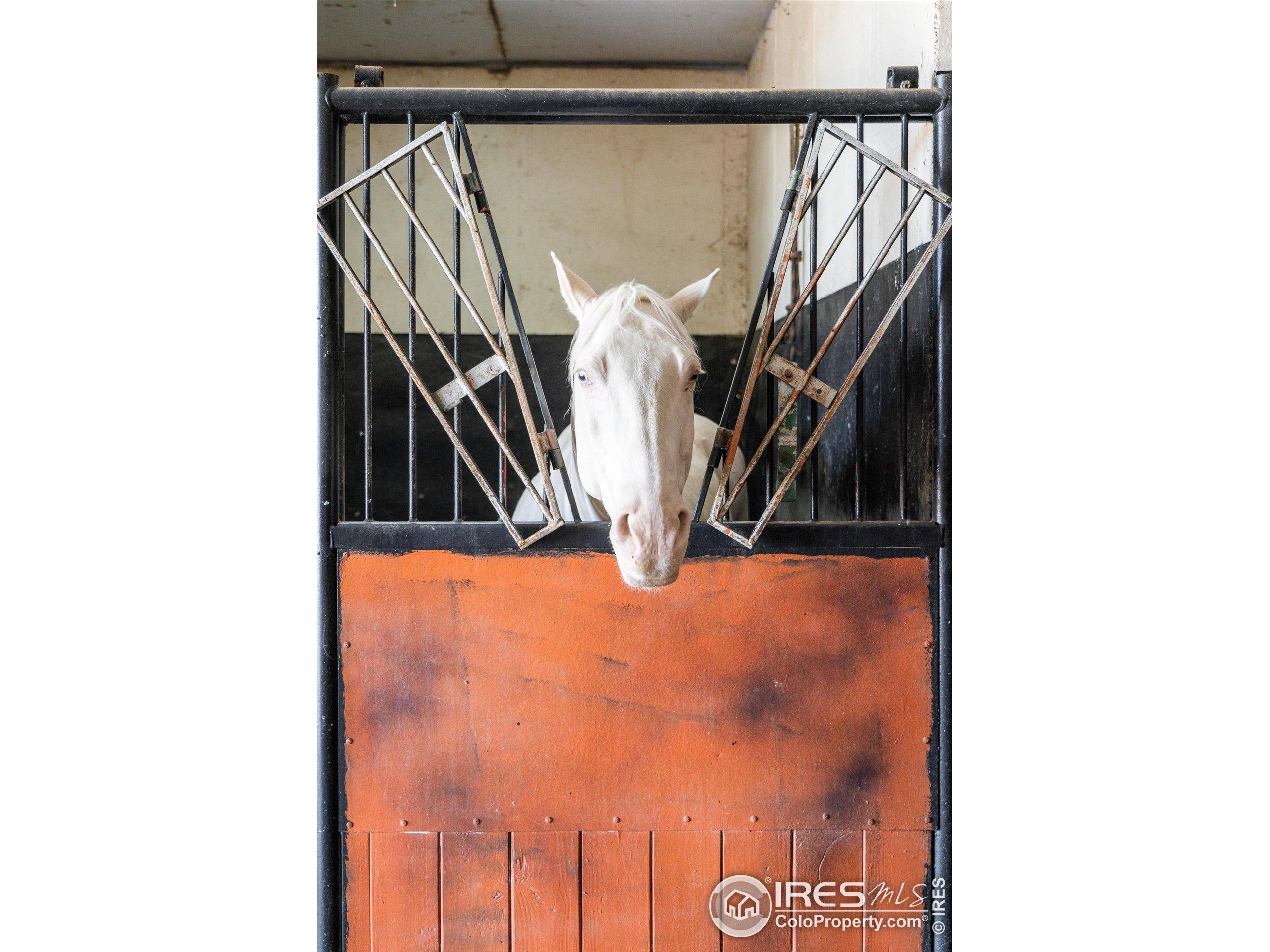 13400 Harvest Road Commerce City, CO 80022 - Photo 19 of 50