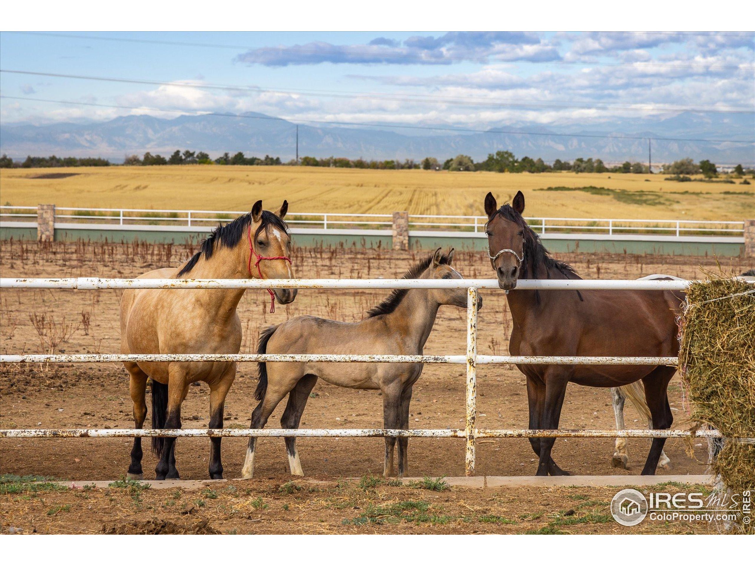 13400 Harvest Road Commerce City, CO 80022 - Photo 20 of 50 a view of an ocean and beach