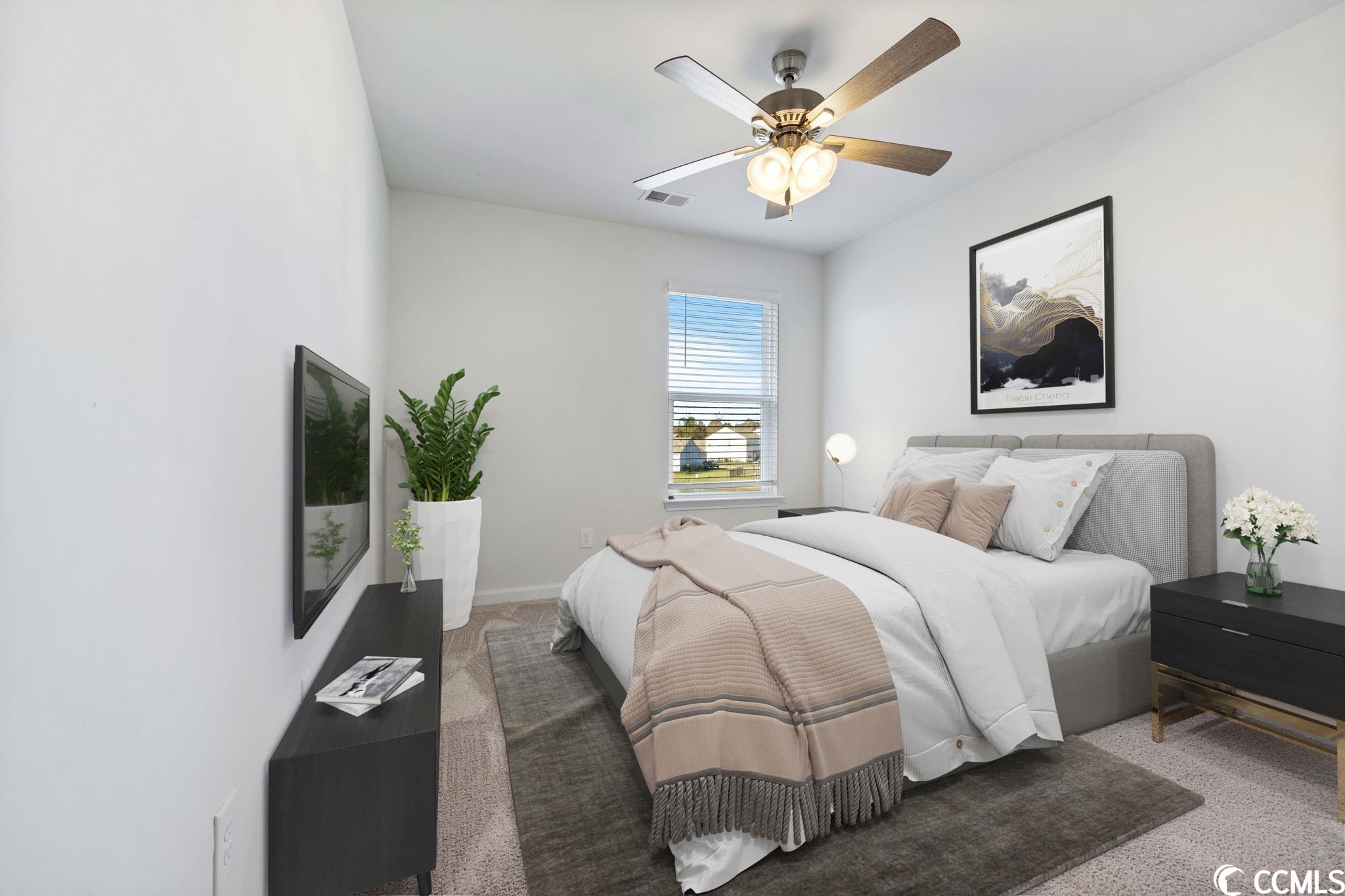 931 Snowberry Drive Longs, SC 29568 - Photo 17 of 29