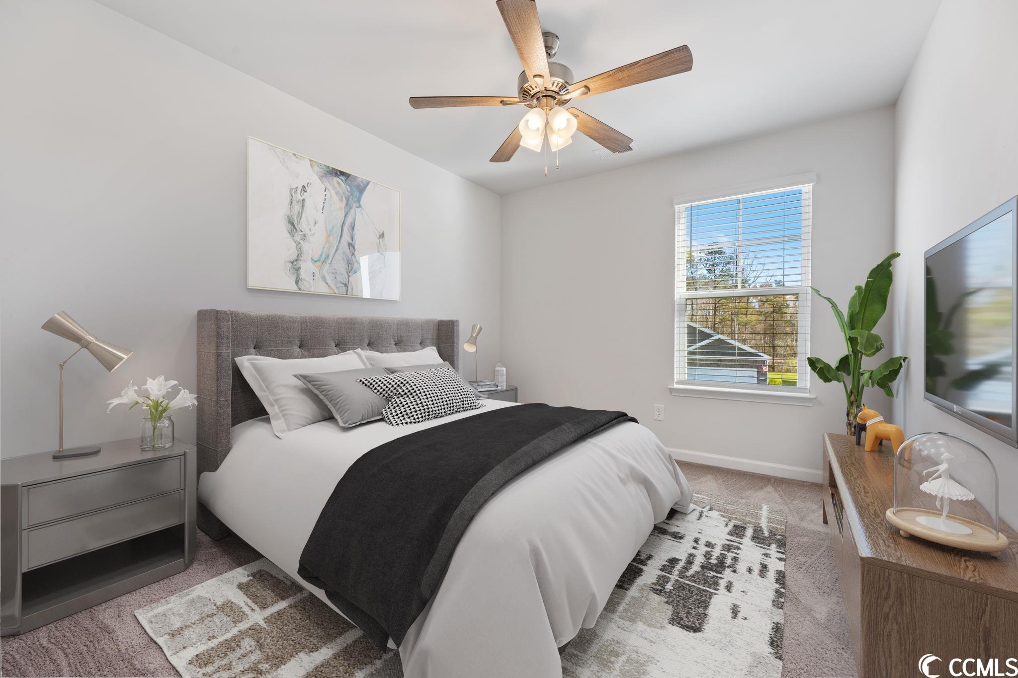 931 Snowberry Drive Longs, SC 29568 - Photo 22 of 29