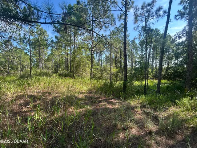 a view of outdoor space and green space