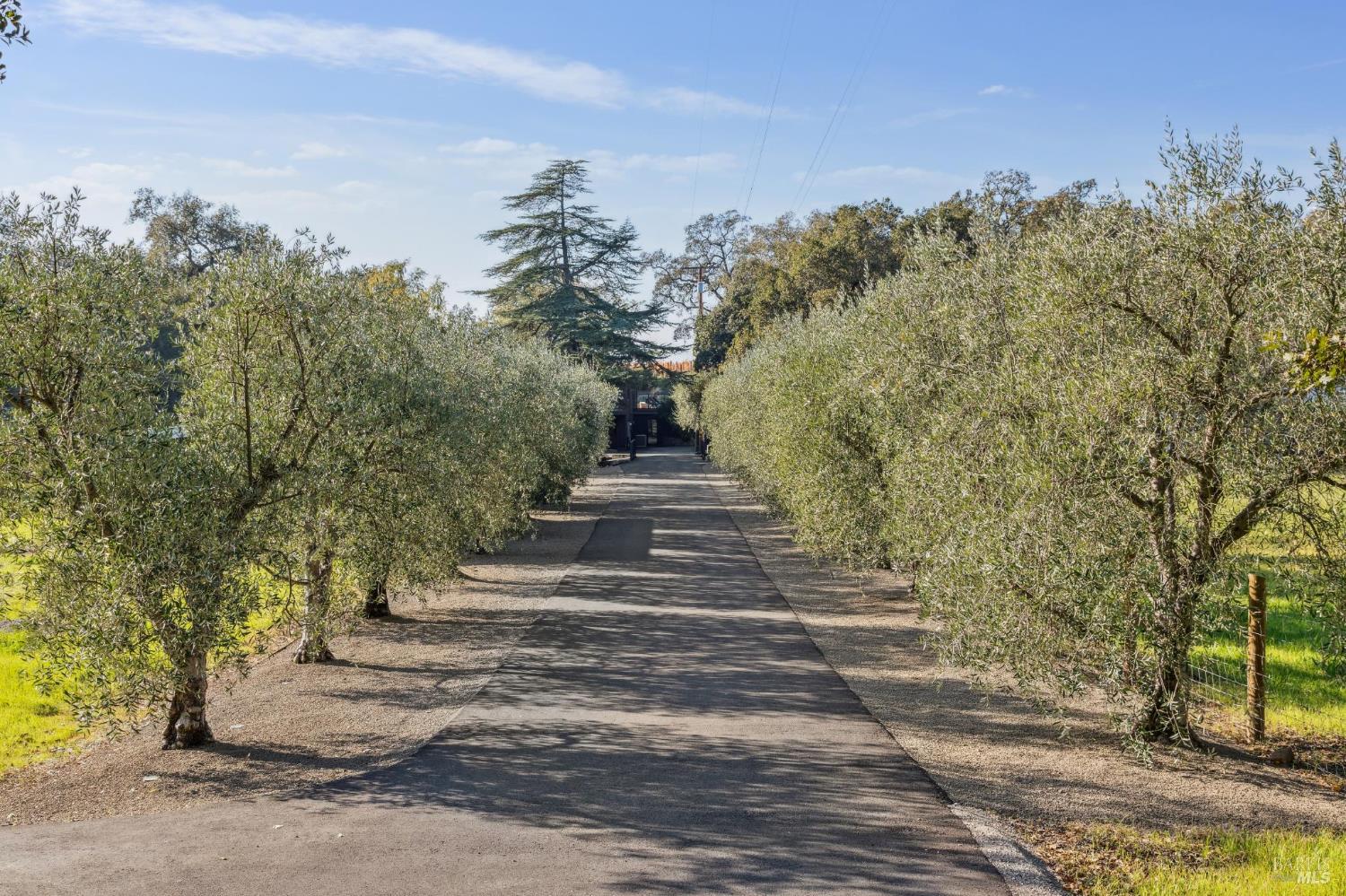 1135 Soda Canyon Road Napa, CA 94558 - Photo 12 of 99