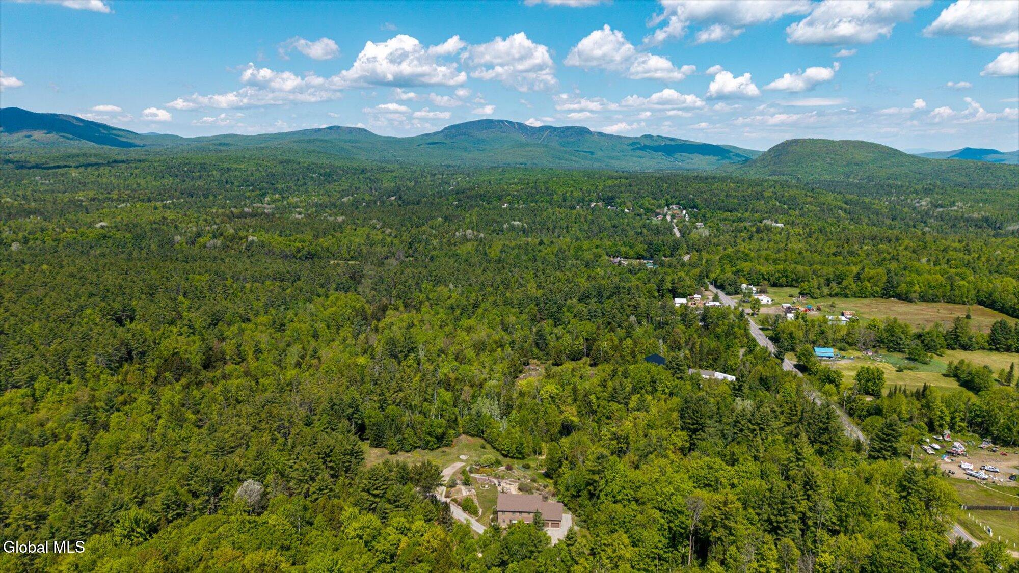 1603 South Johnsburg Road Johnsburg, NY 12843 - Photo 11 of 55 02-ADK-2