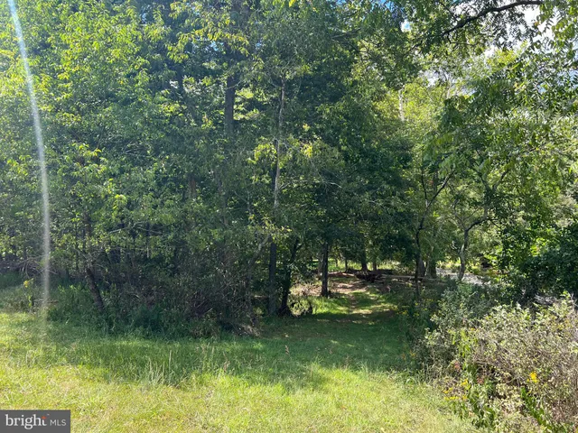 a view of a lake in a back yard
