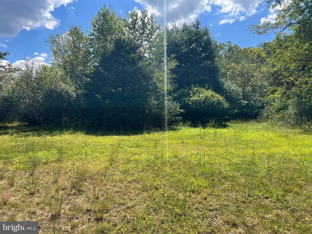a view of outdoor space with trees all around