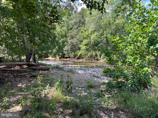 a view of a lake from a yard