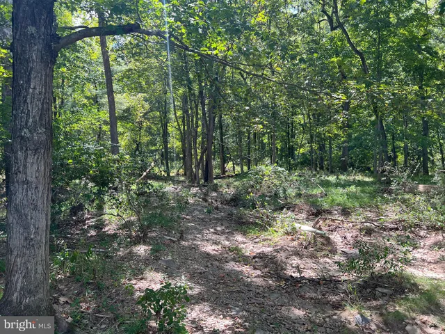 a view of outdoor space and garden