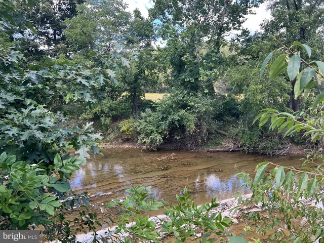 a view of a lake with a tree