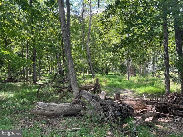 a view of yard with green space